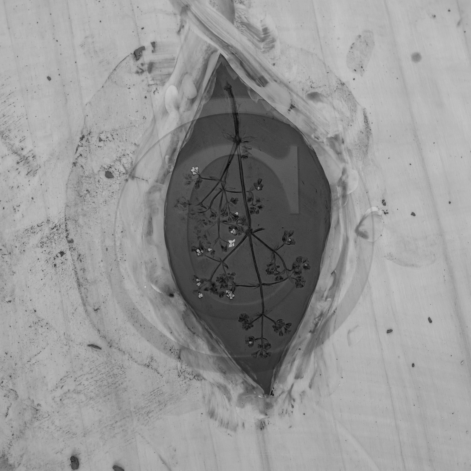 28 juin 2021 : Journée des aidants à l'Ouort.