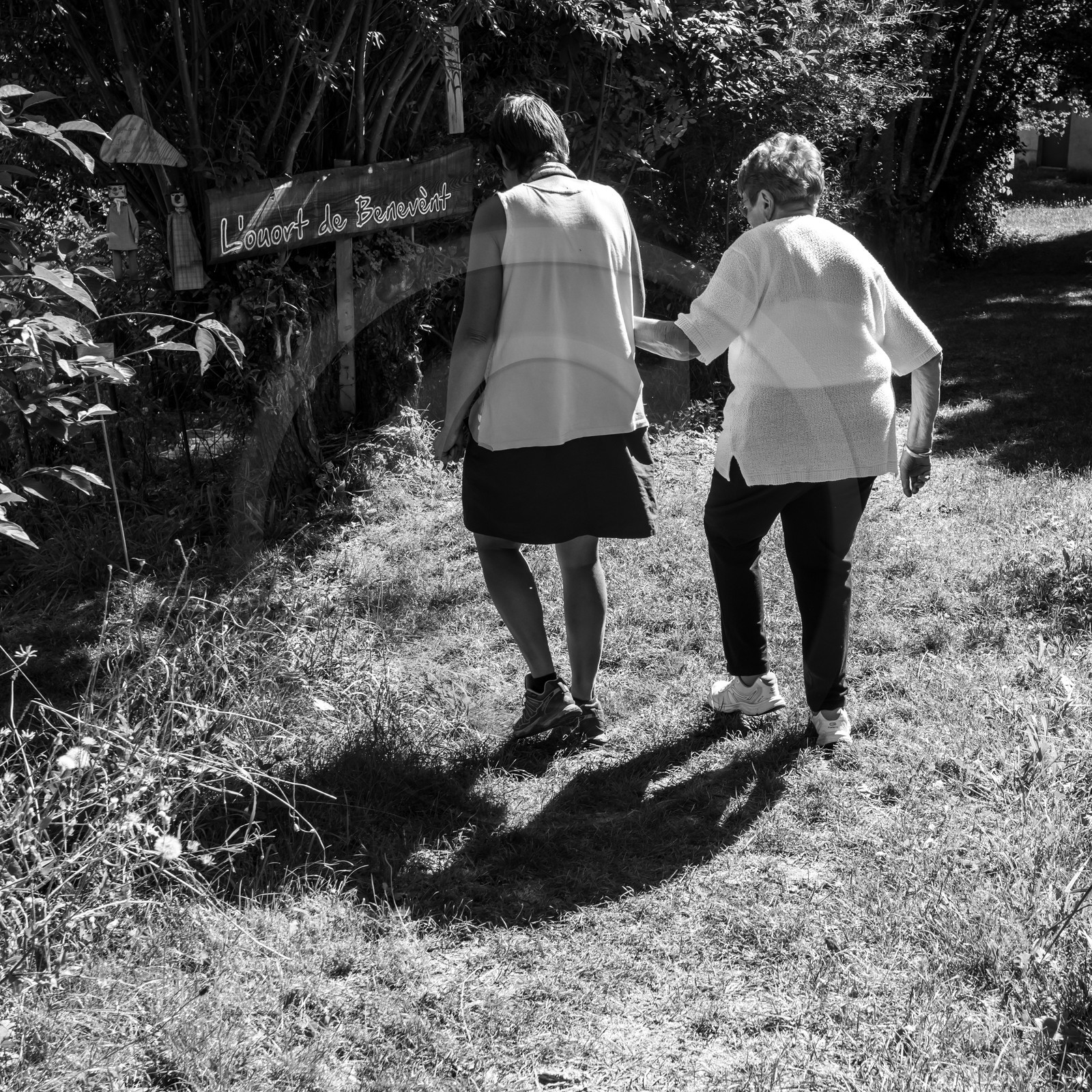 Activités au jardin