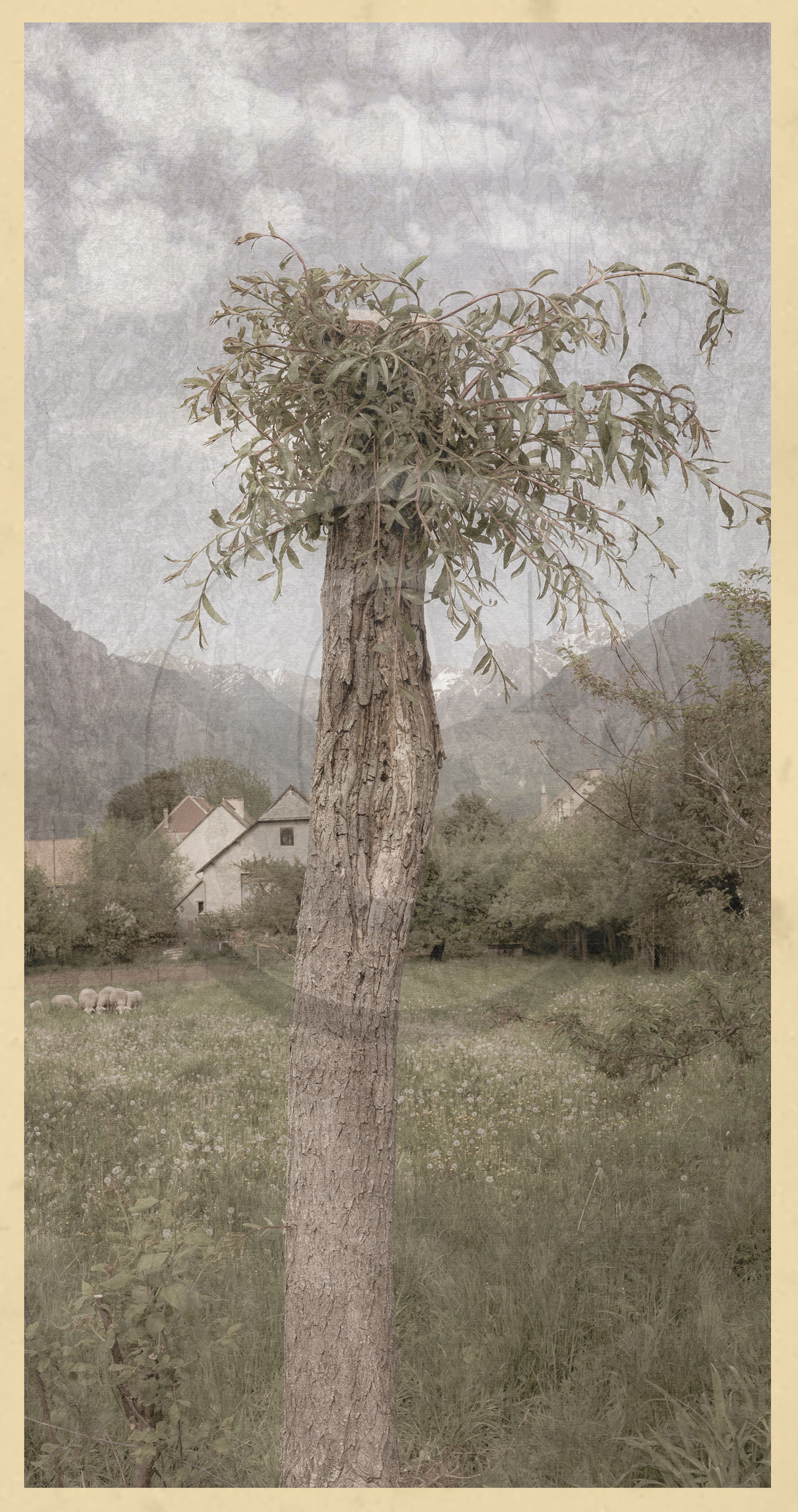 Le kilomètre dérogatoire