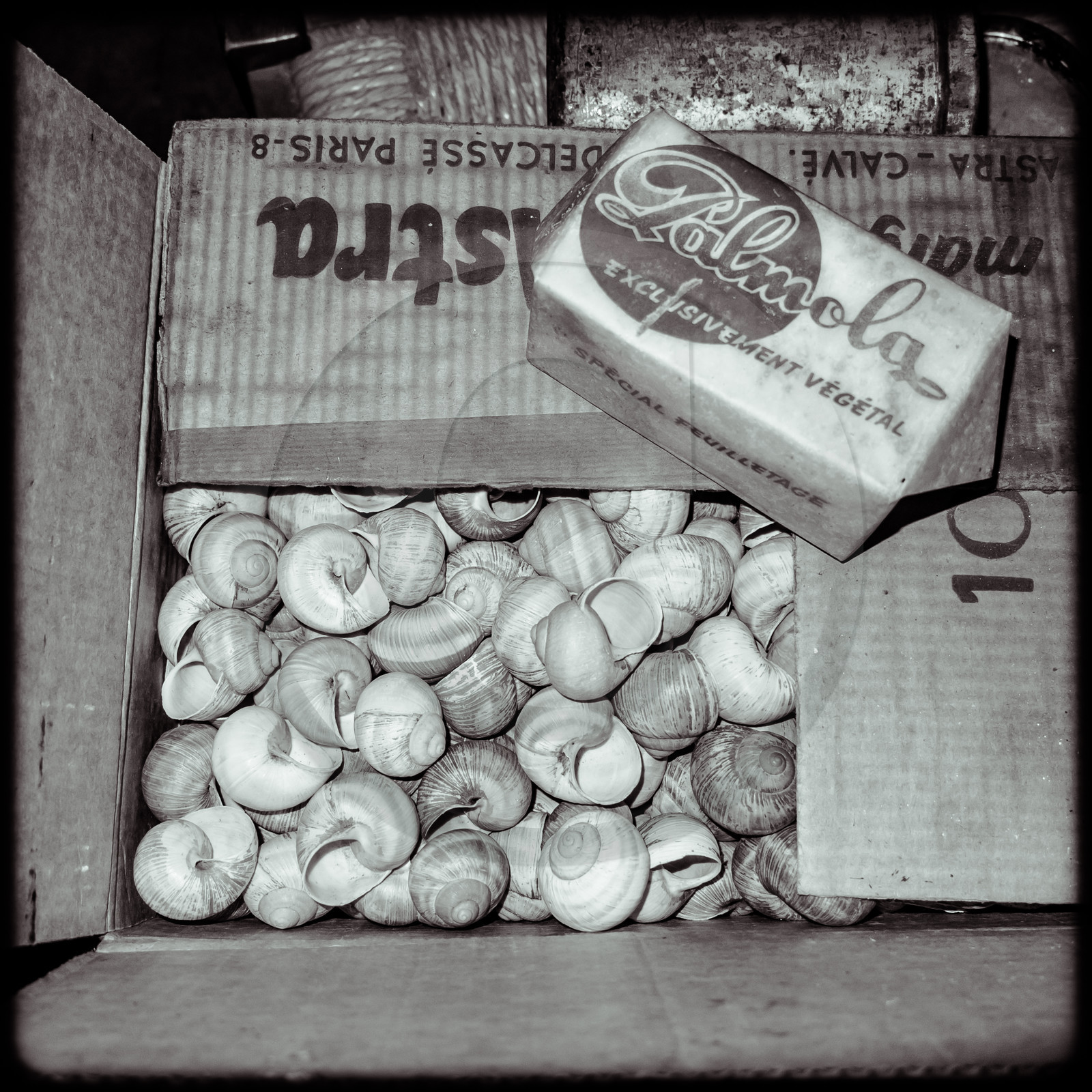 L'Hôtel Fourrat à La-Roche-de-Rame