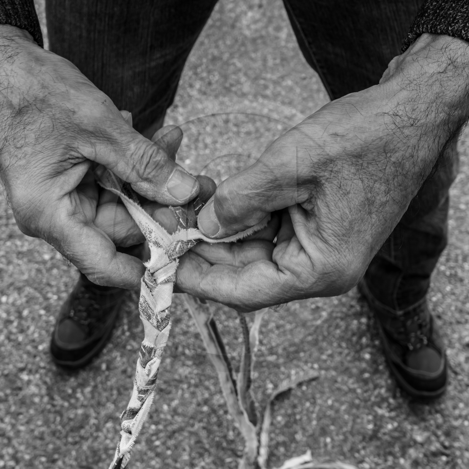 Fabrication de tournesols