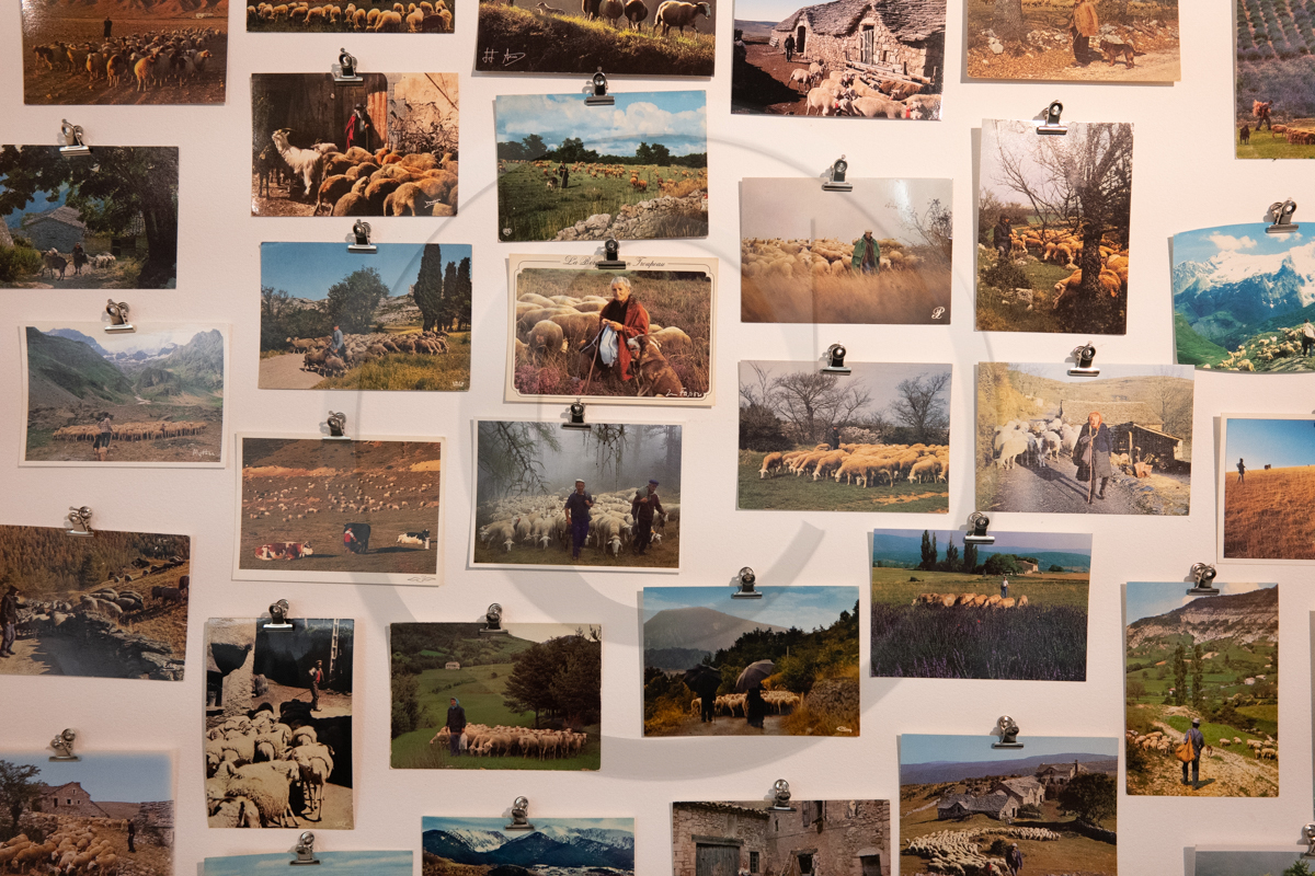 Exposition à la Maison du Berger