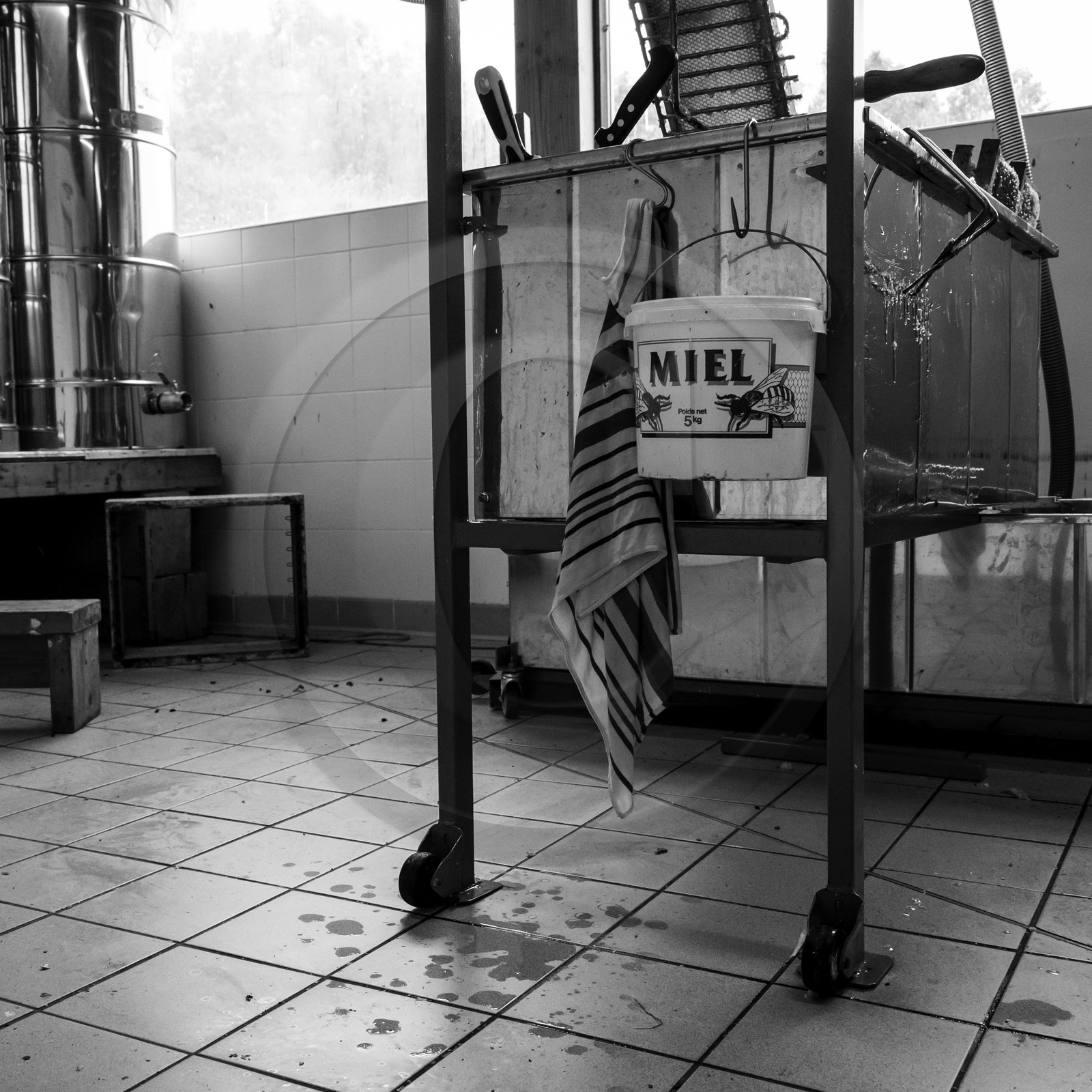 L'extraction du miel