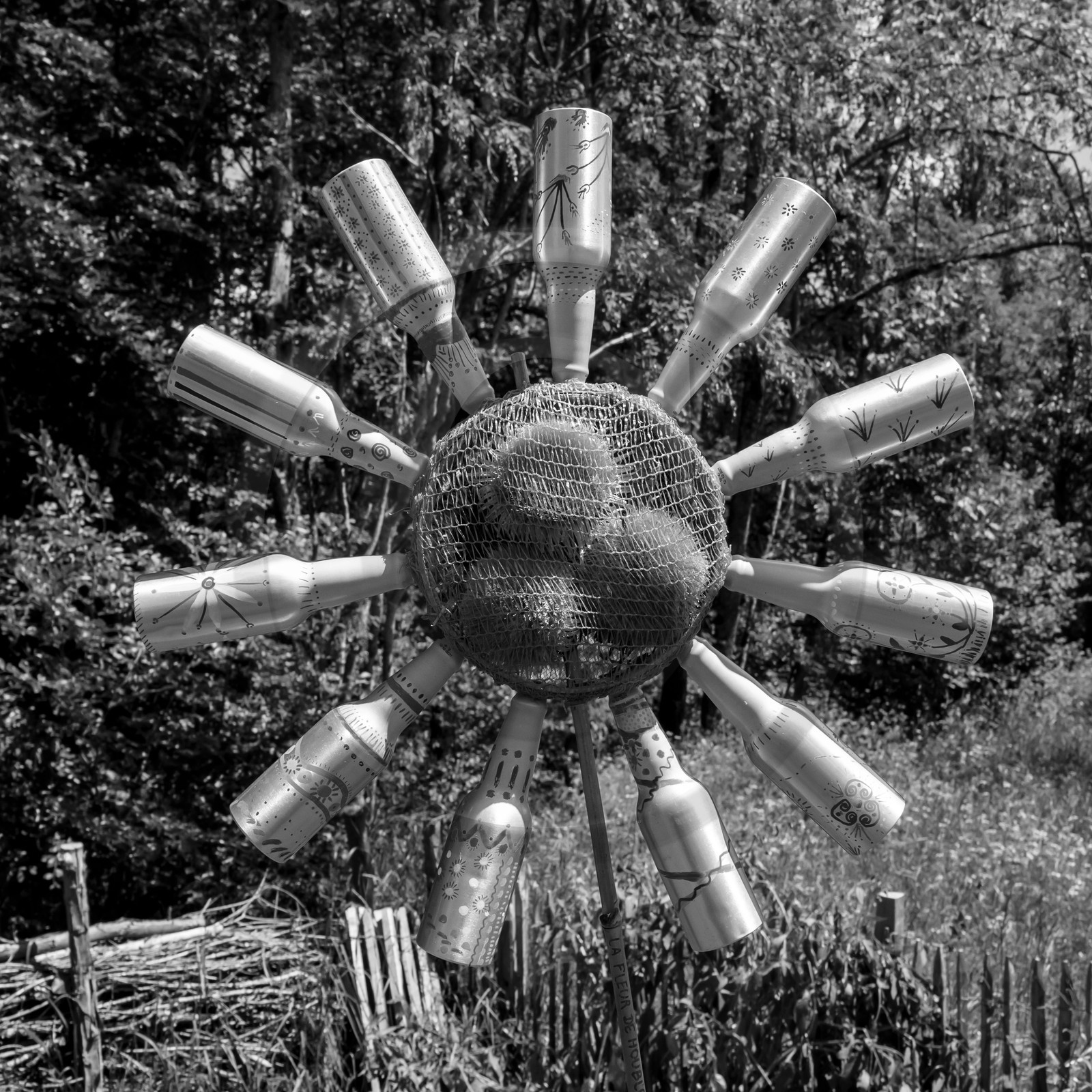 12 juin 2019 : Après-midi au jardin