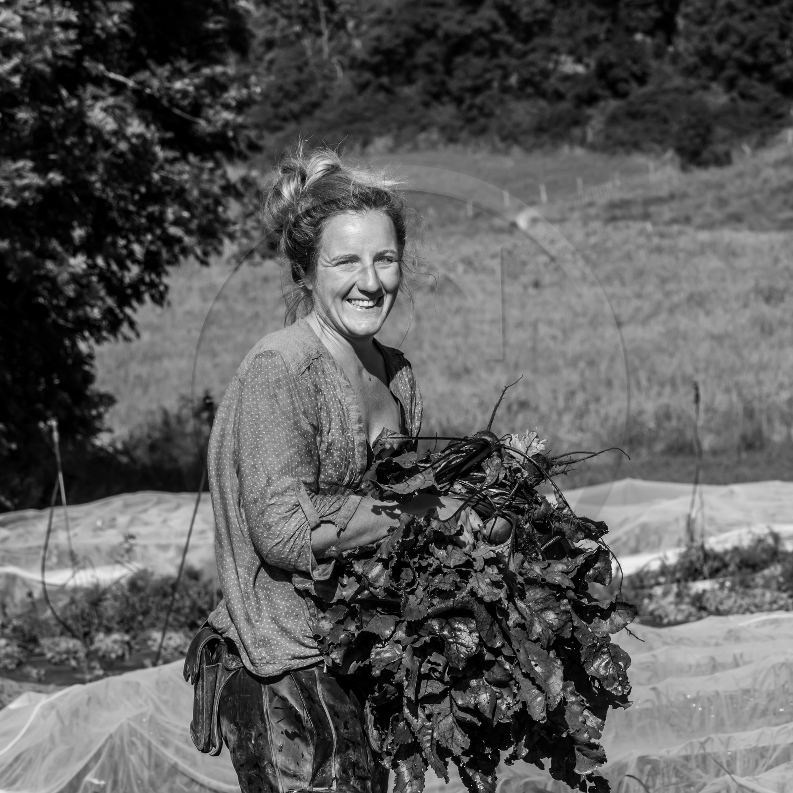 Maraichage biologique dans le Champsaur