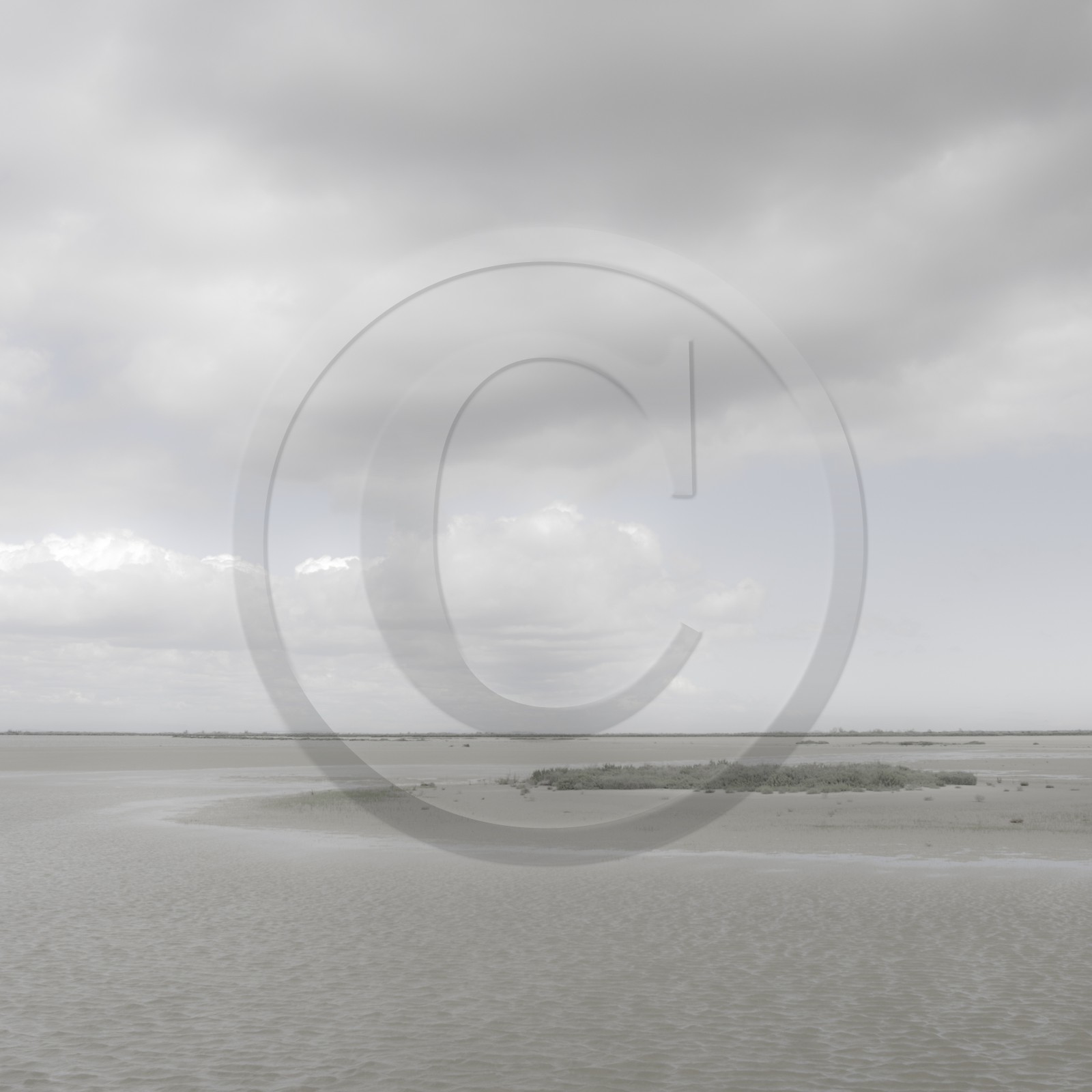 Camargue couleur pastel