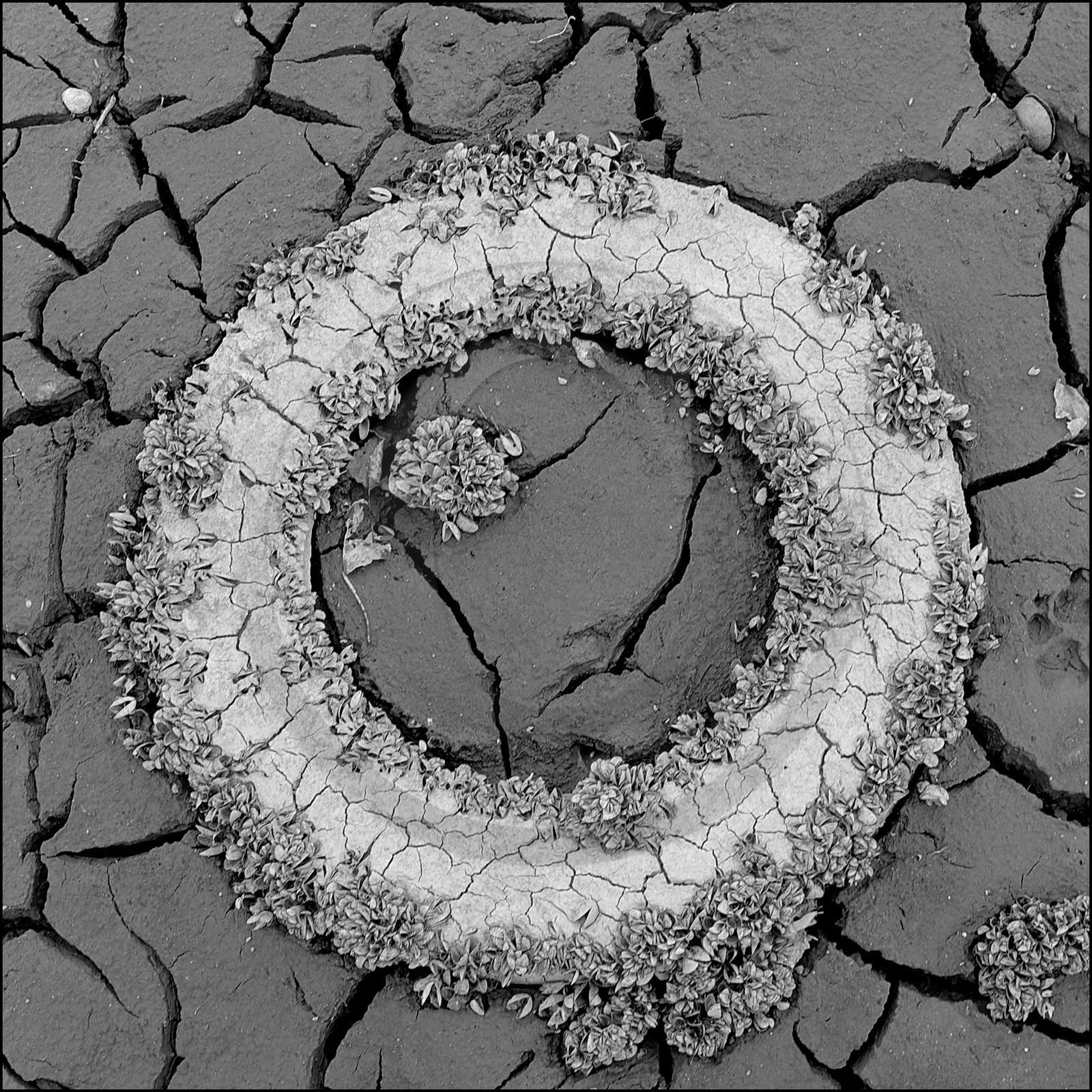 Serre-Ponçon, basses eaux