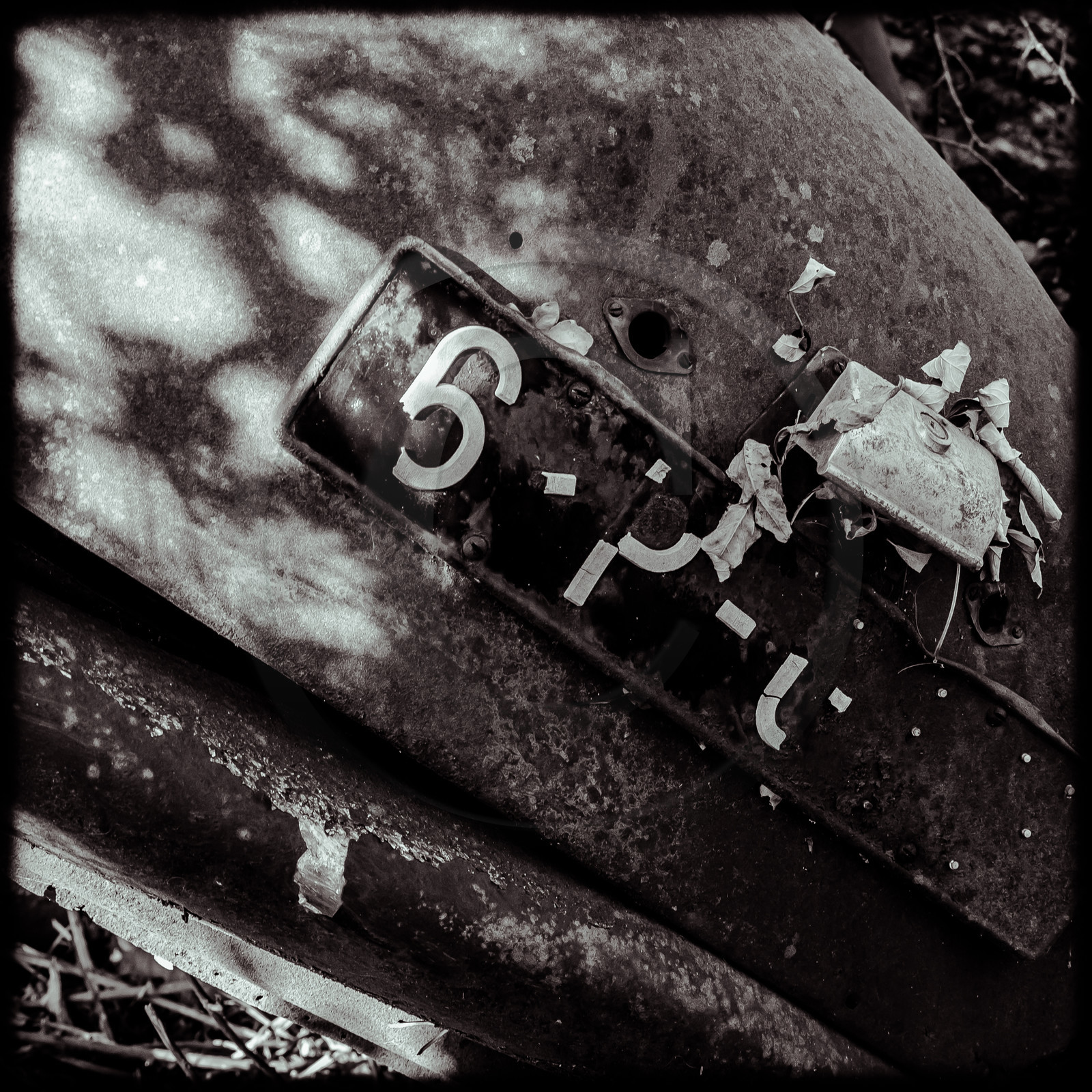 Un cimetière de voitures