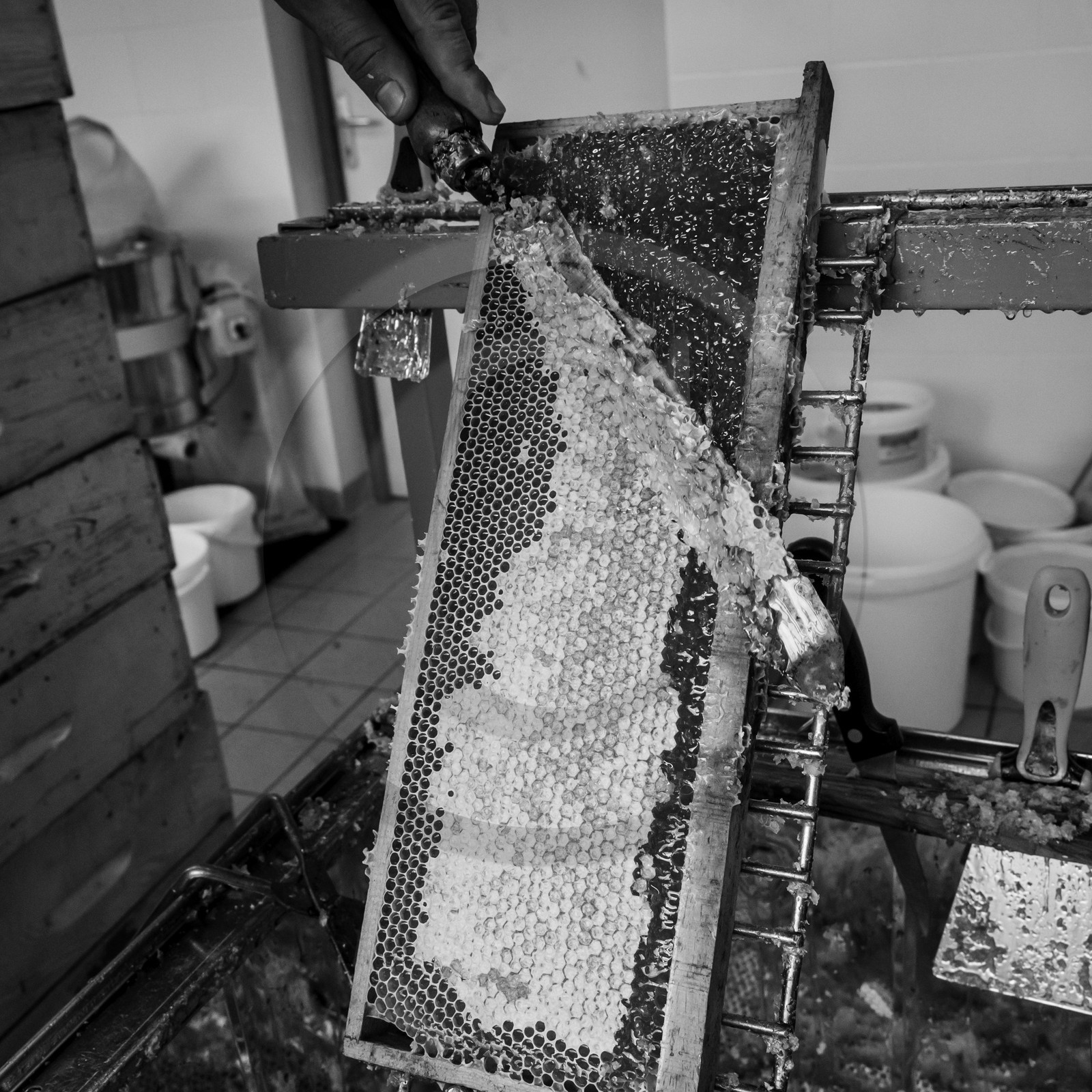 L'extraction du miel