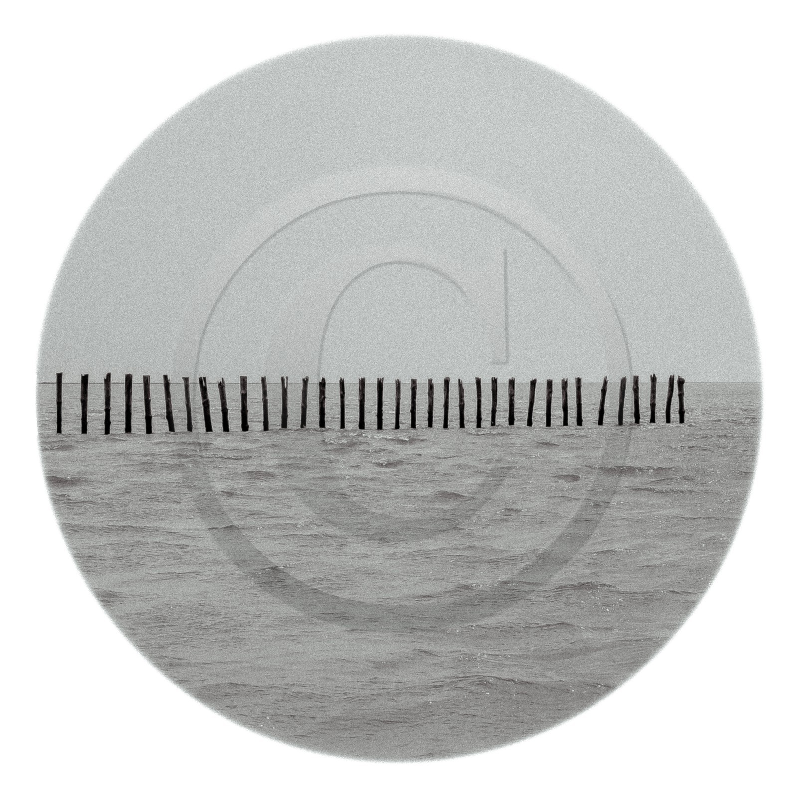 Les instants Camargue