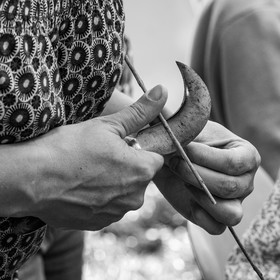 13 septembre 2023 : Osier et HydrOlique