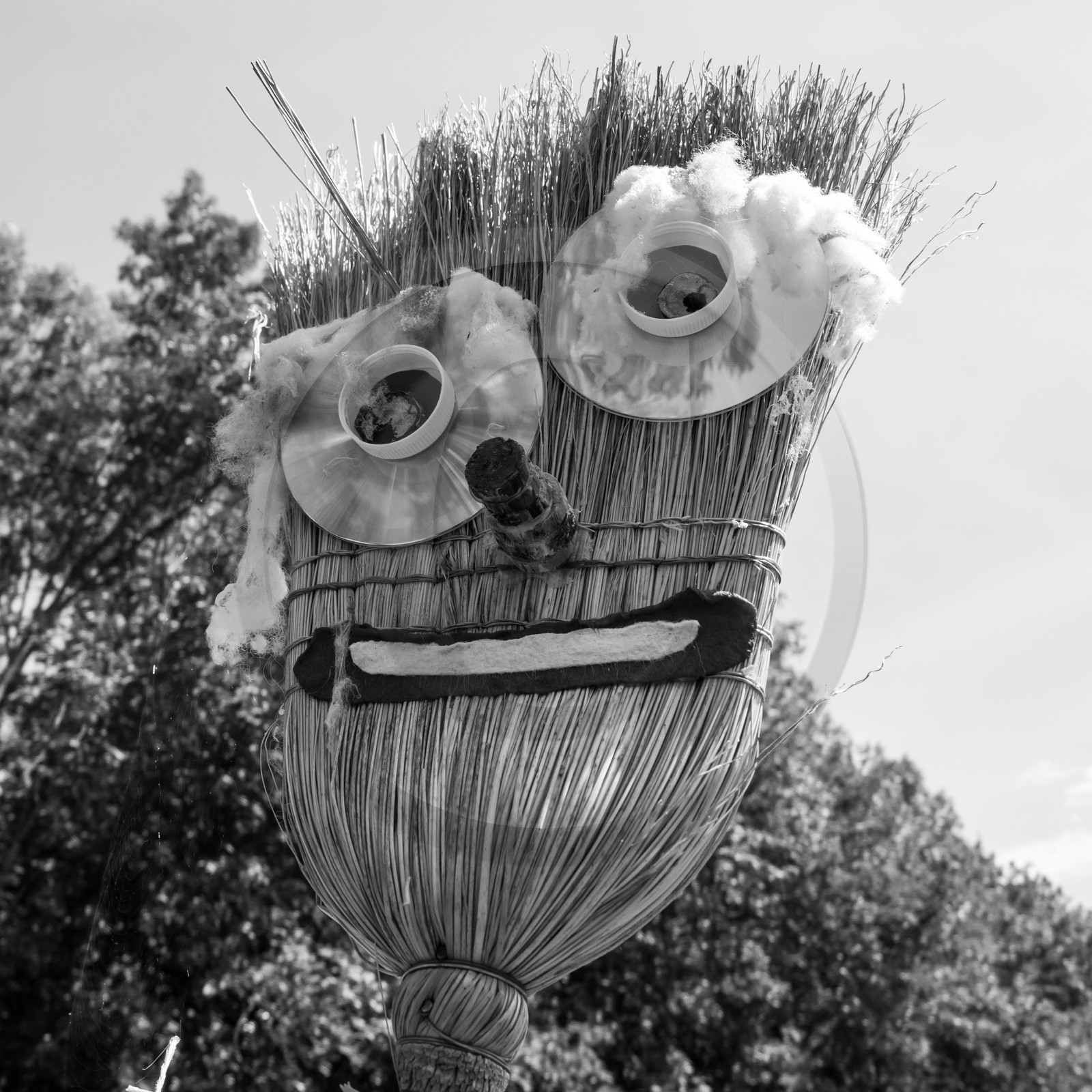 23 août 2017 - Animations