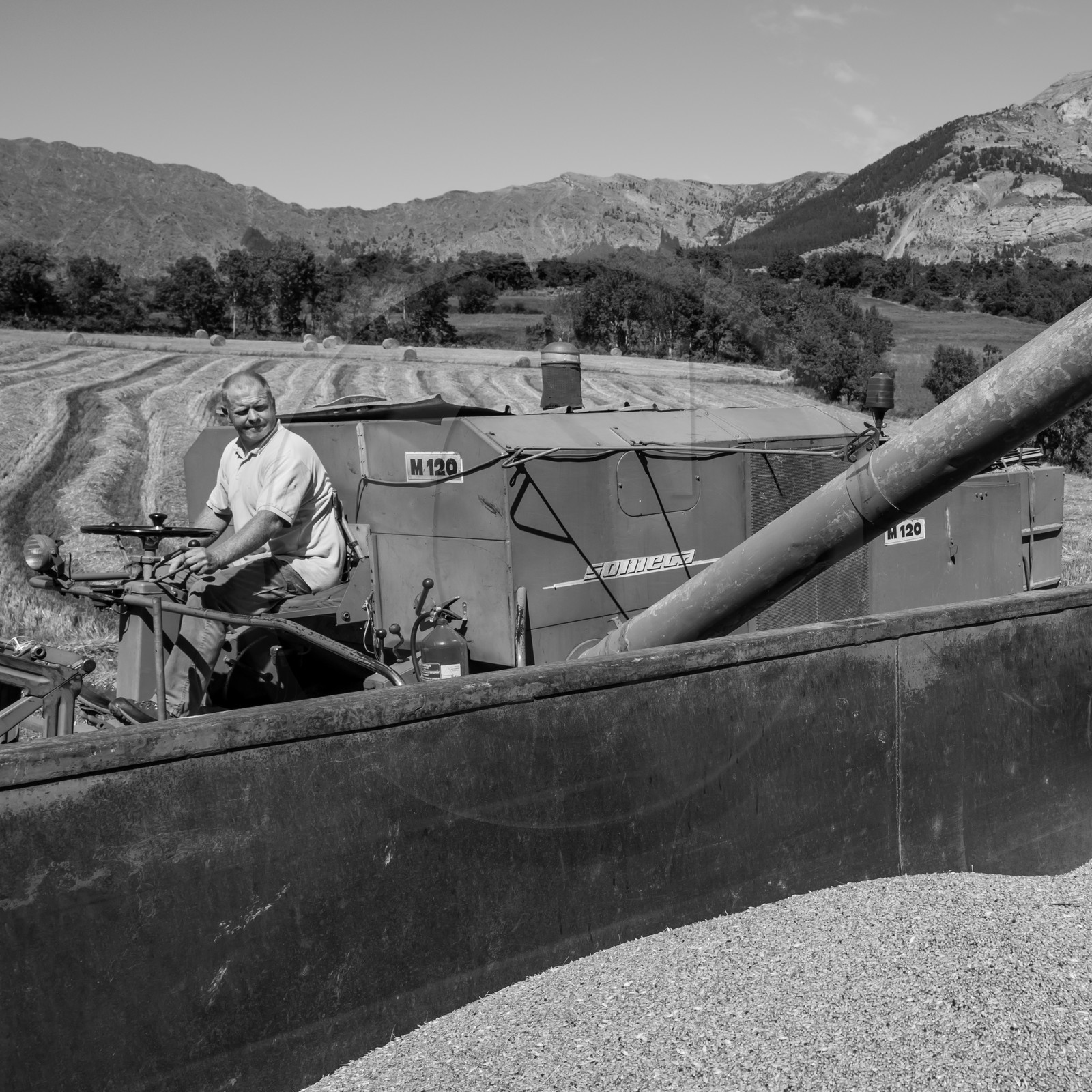 Les moissons dans le Champsaur