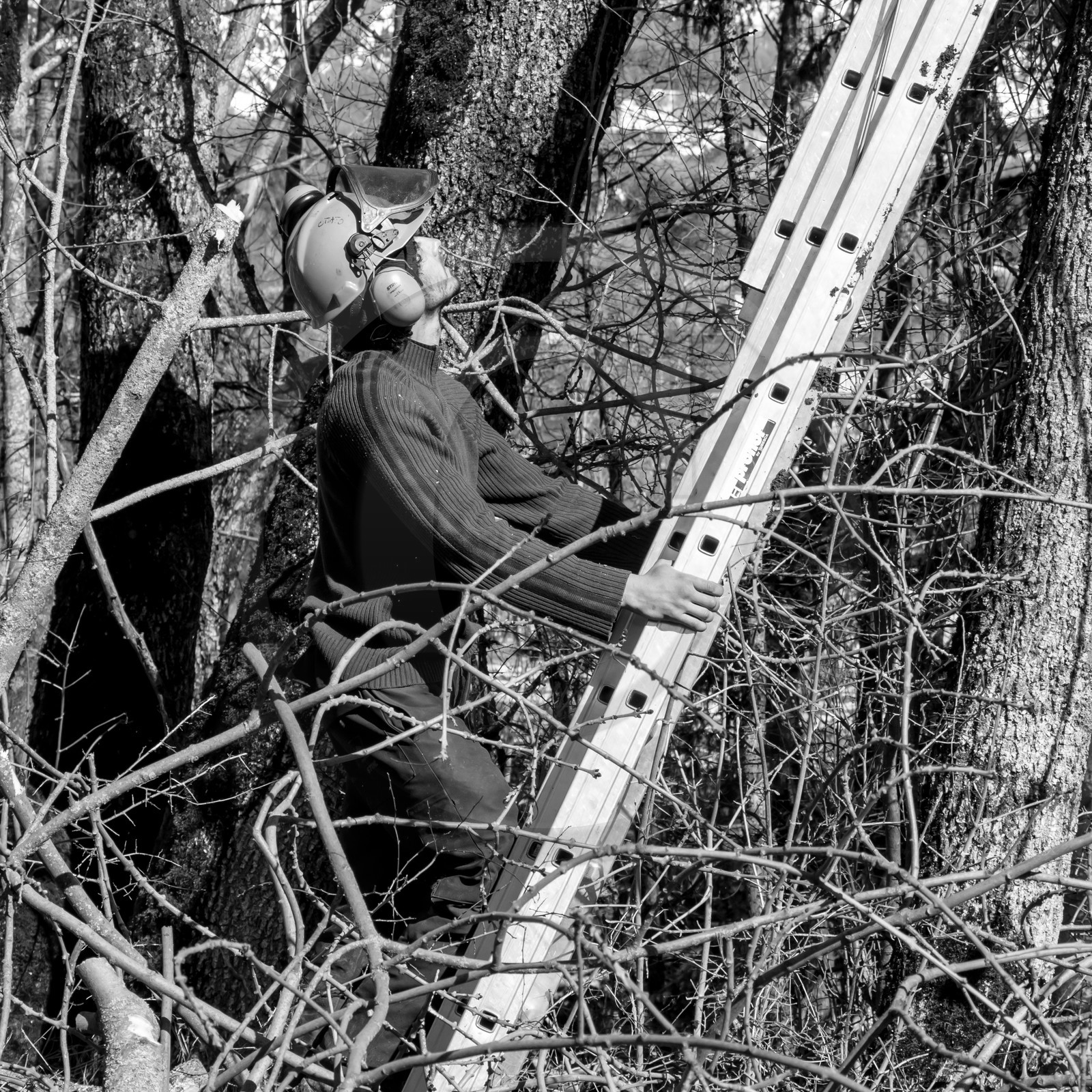 L'Ouort de Bénévent - 08 mars 2017