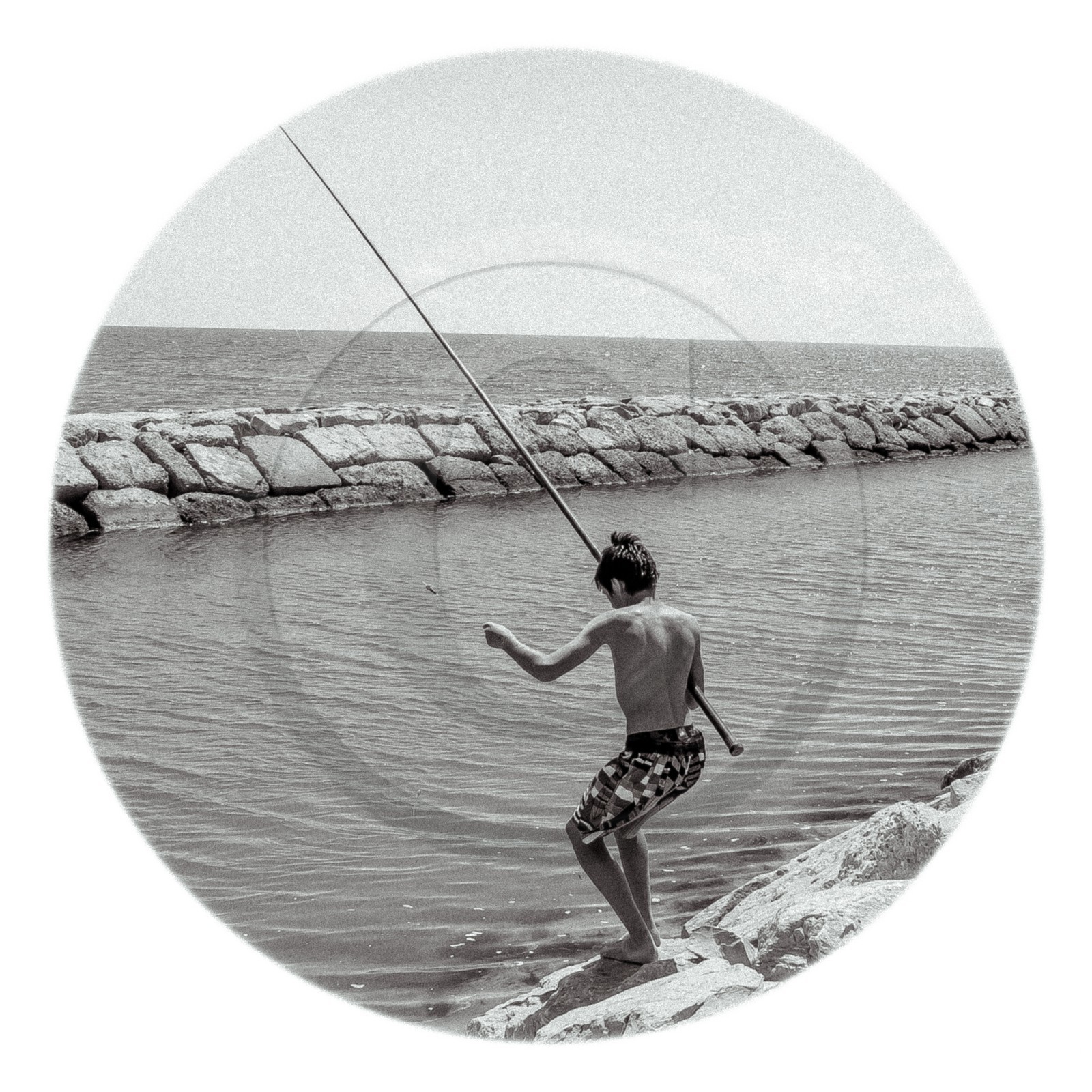 Les instants Camargue