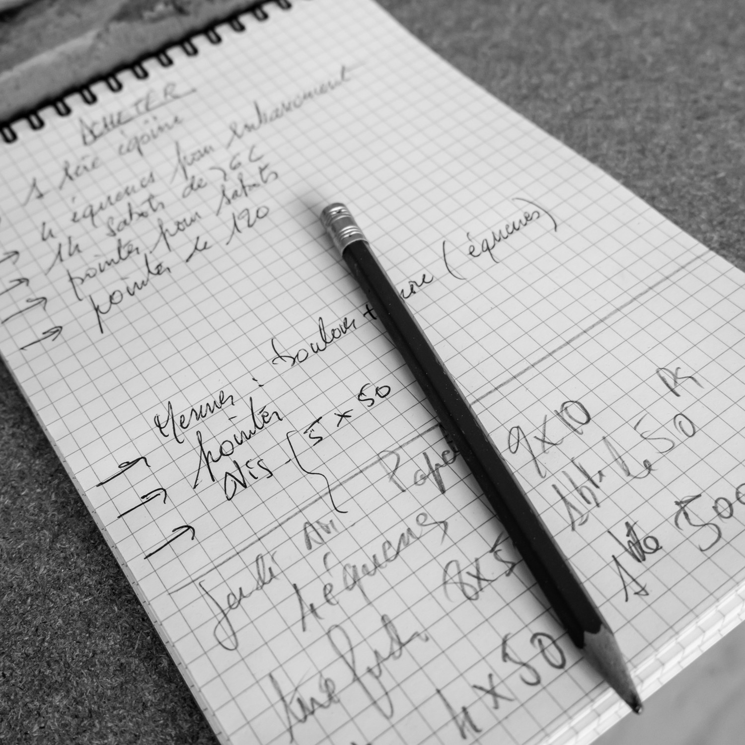 Construction d'une cabane