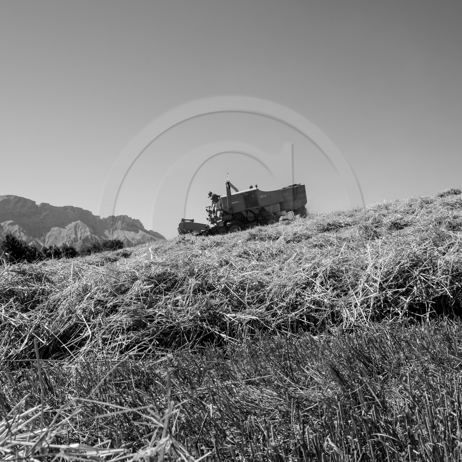 Les moissons dans le Champsaur