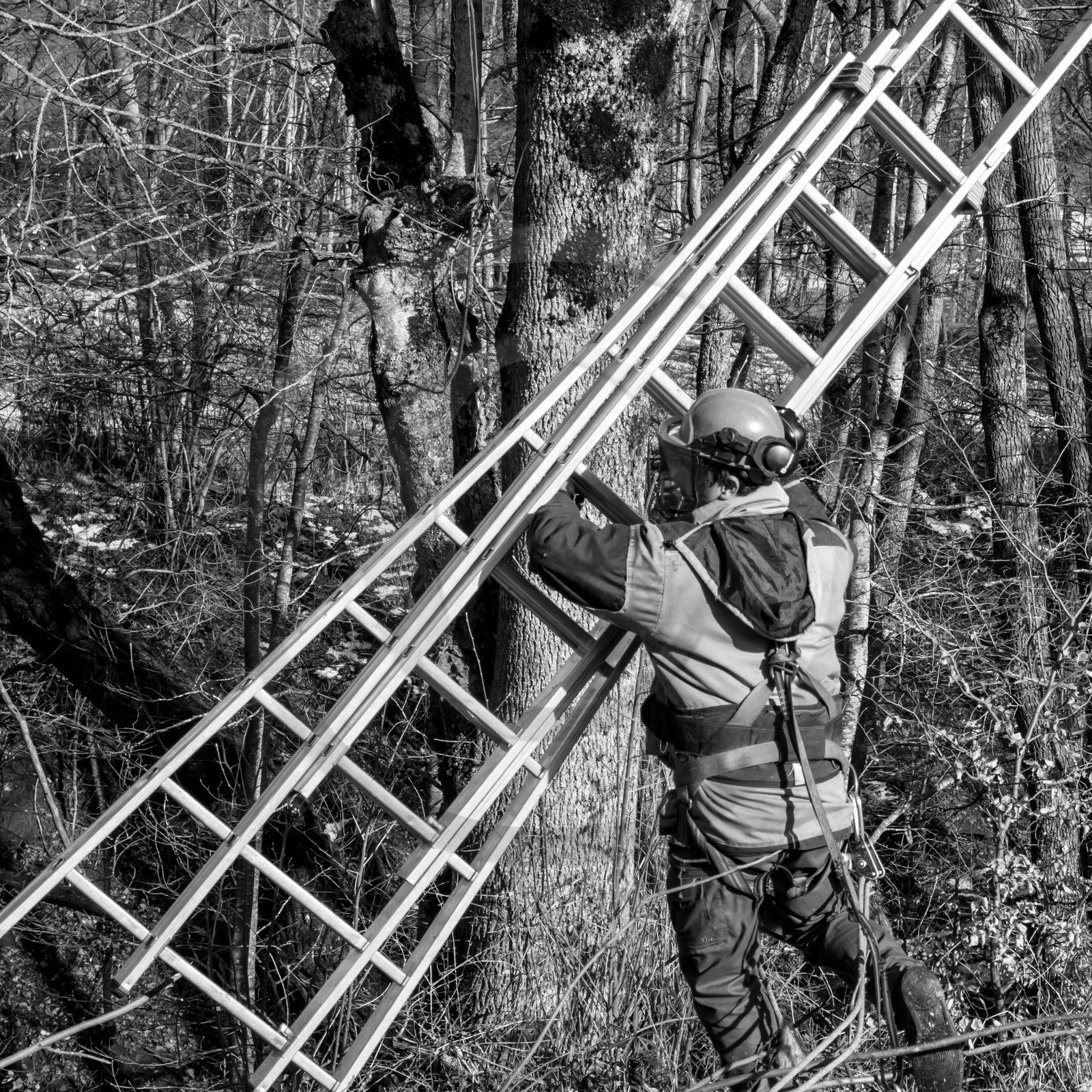 L'Ouort de Bénévent - 08 mars 2017