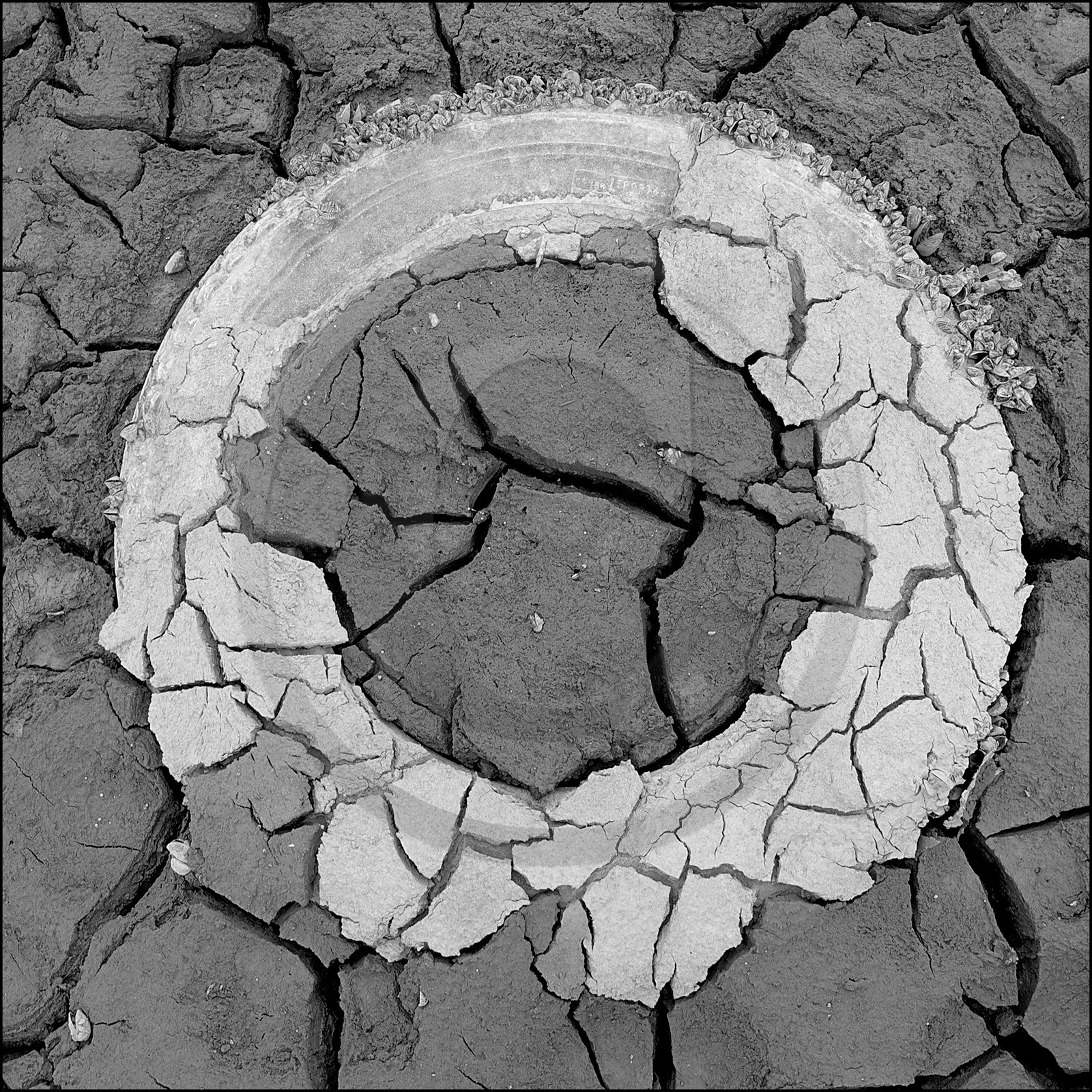 Serre-Ponçon, basses eaux