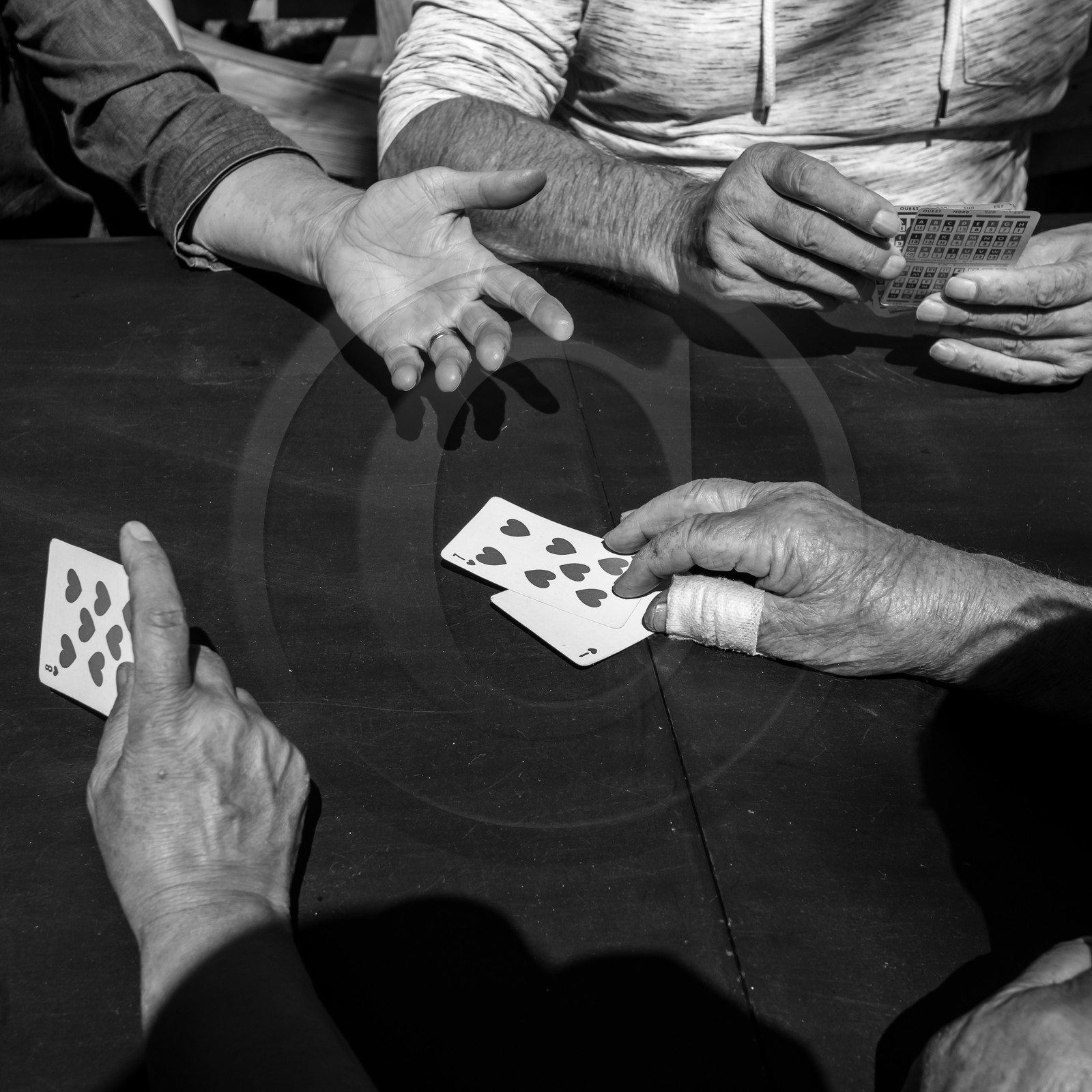 Activités au jardin