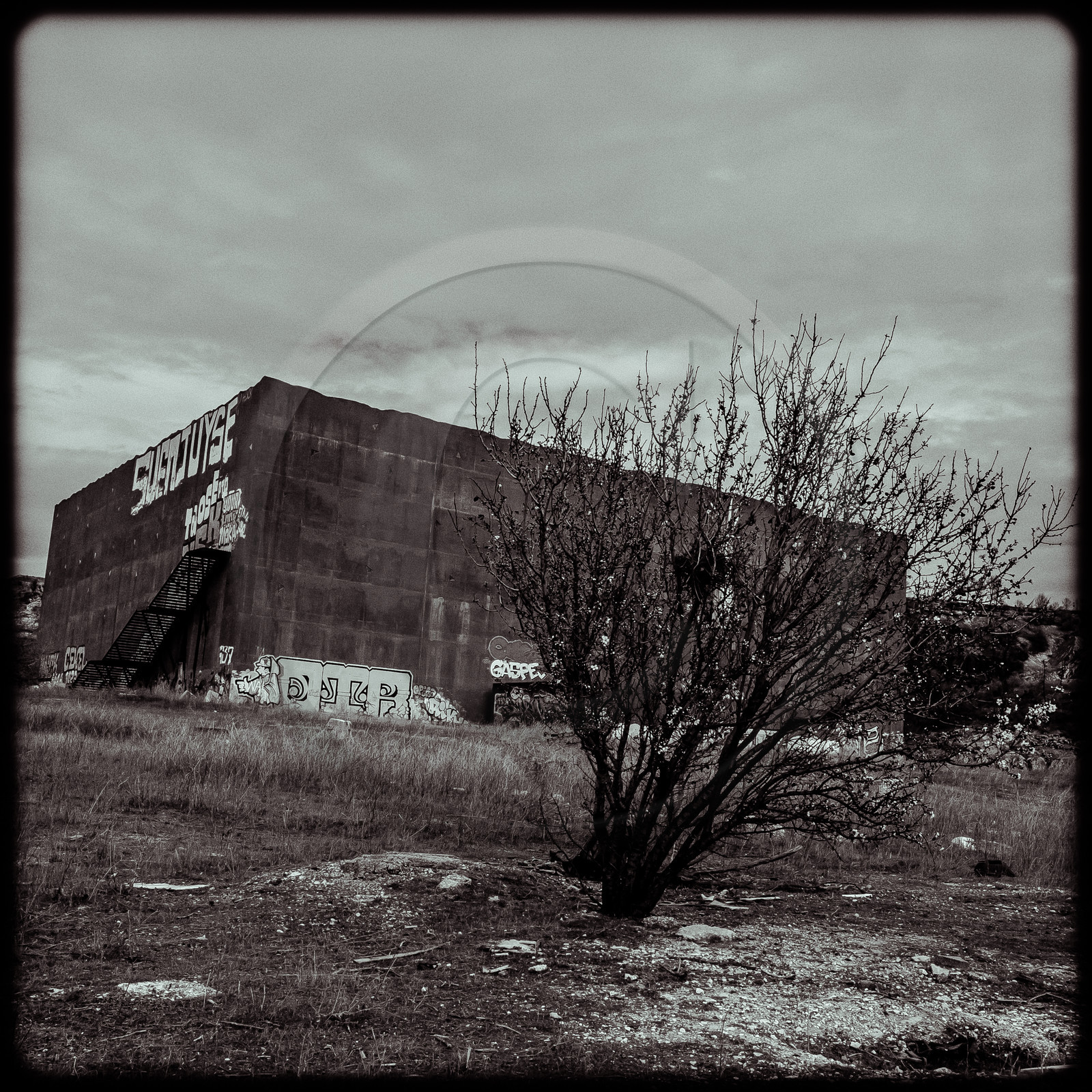 Le Stadium - Vitrolles (13)