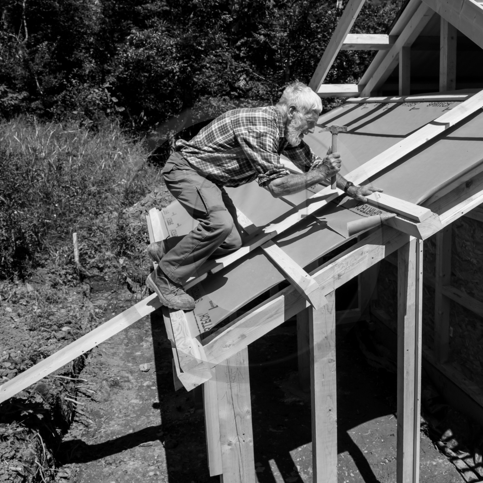 Construction d'une cabane