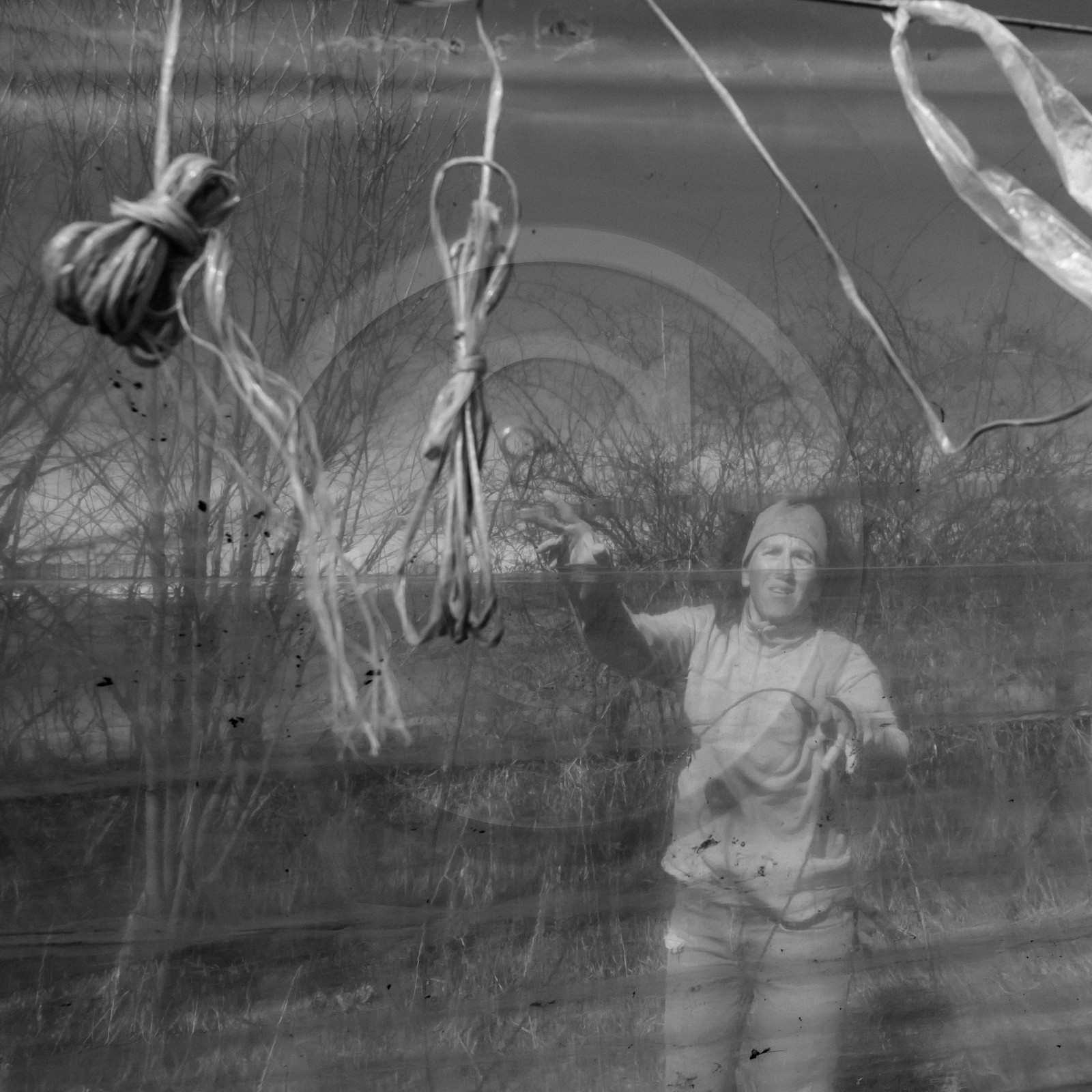 Montage de serres tunnel