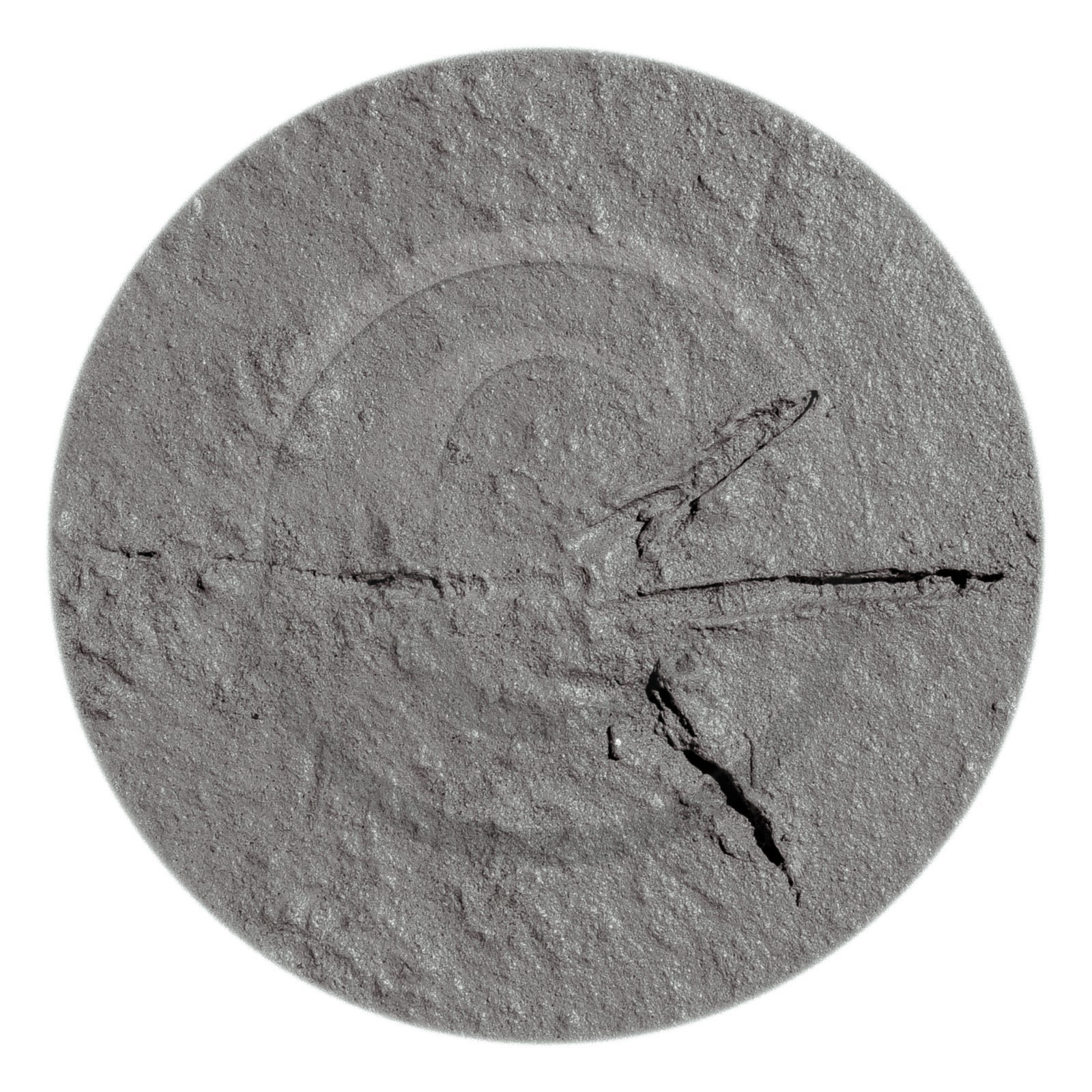 Les instants Camargue