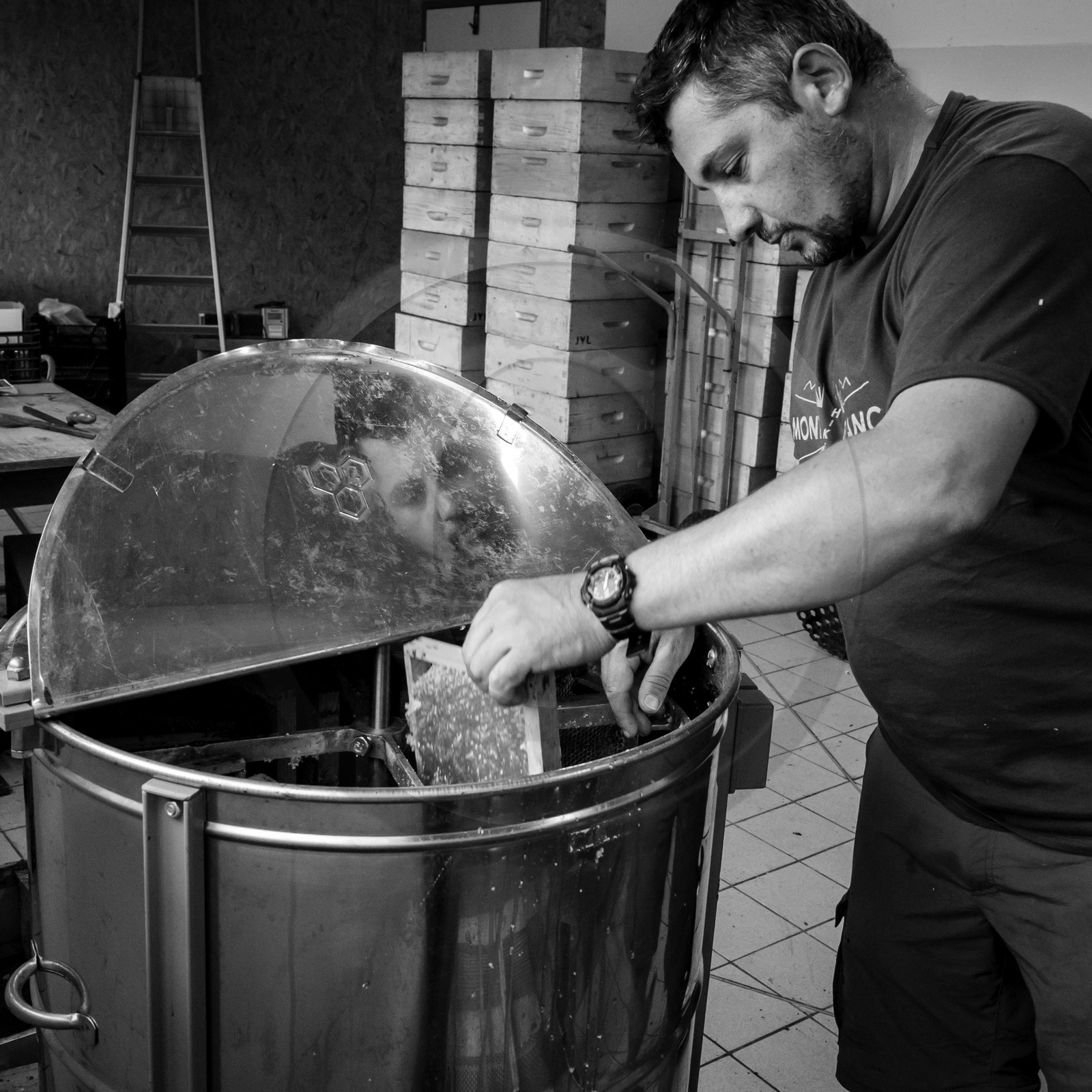 L'extraction du miel