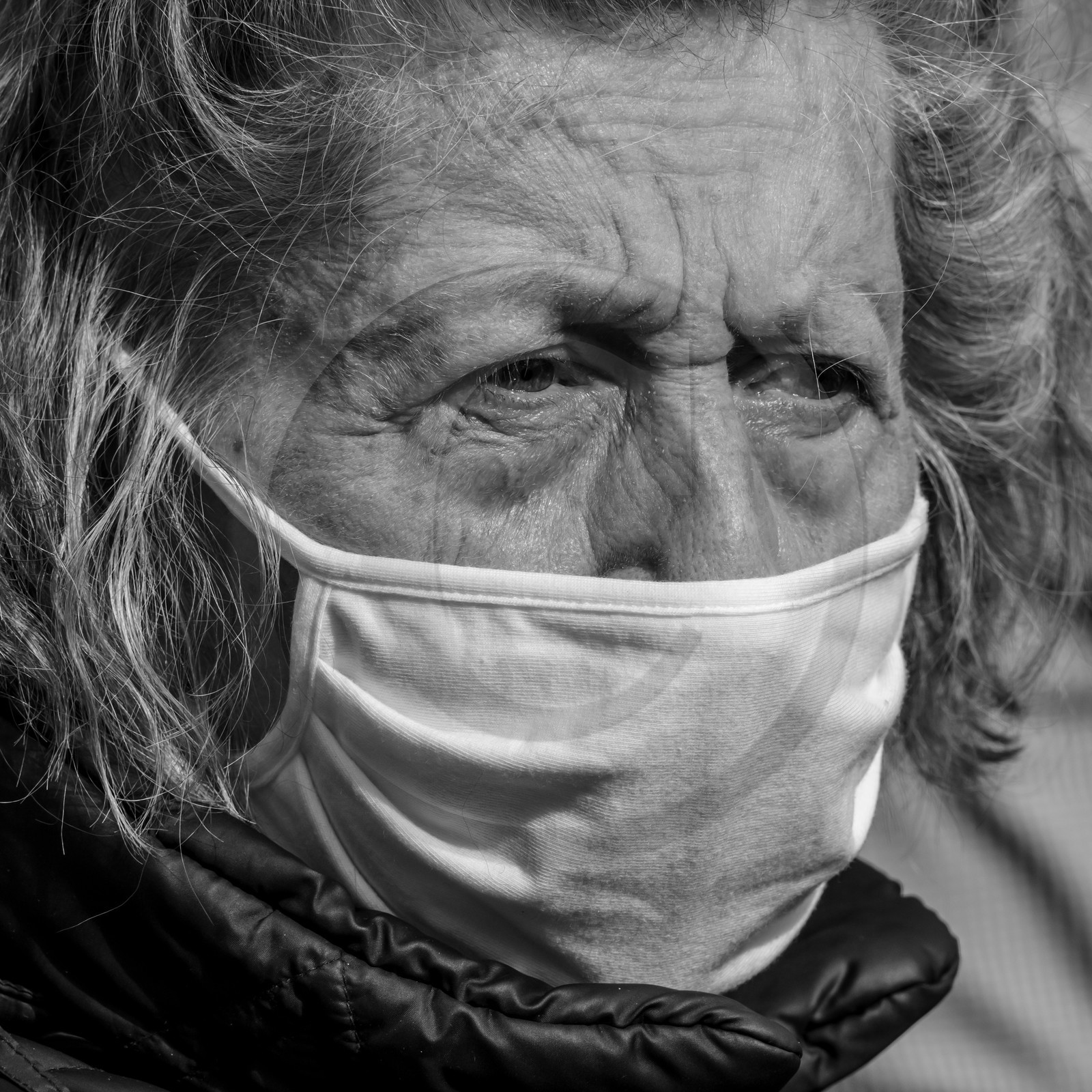 Fabrication de tournesols