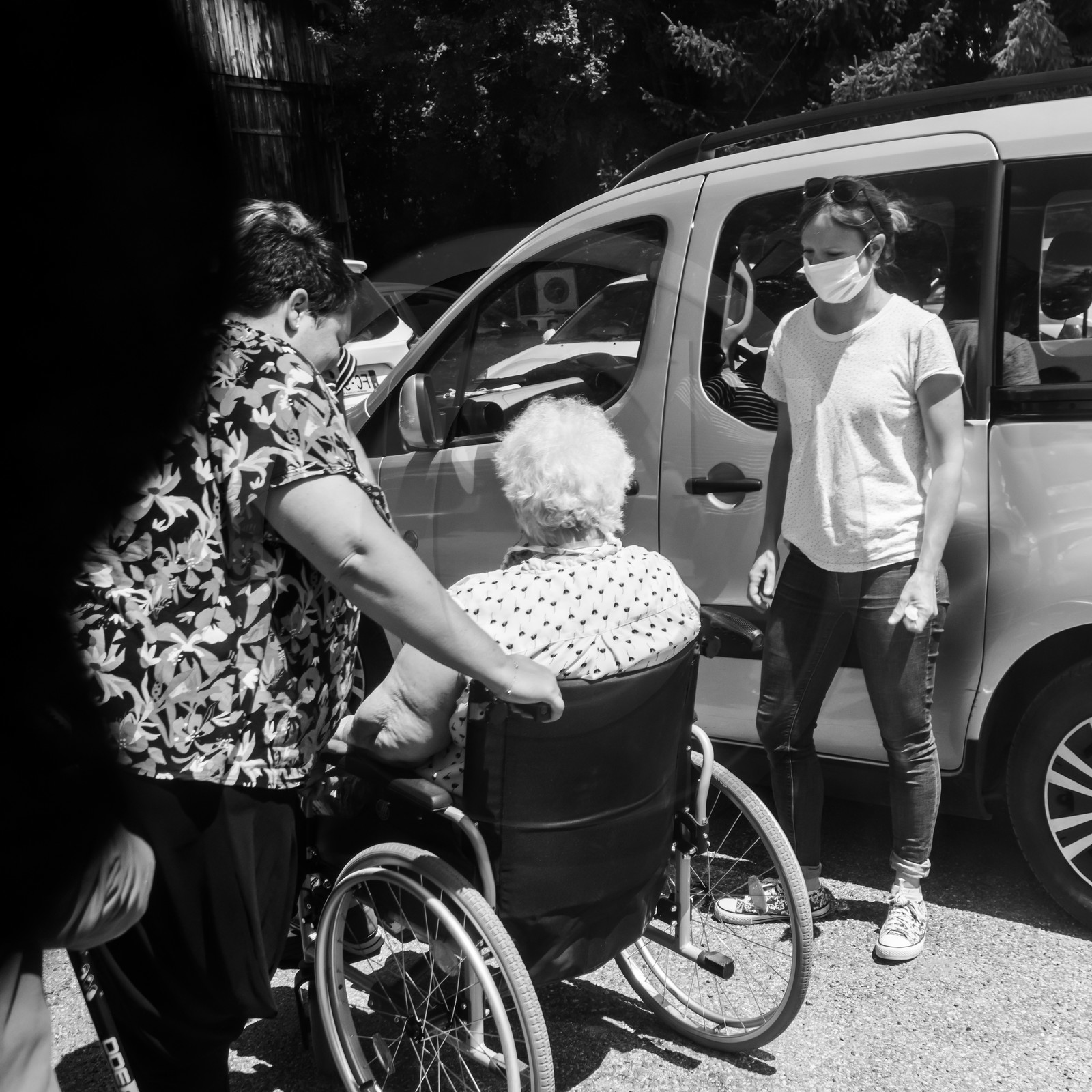 Animations au jardin