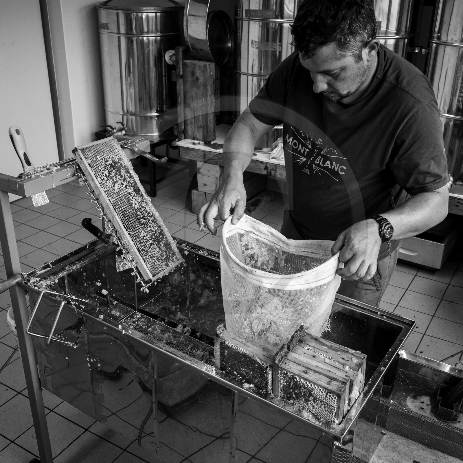 L'extraction du miel