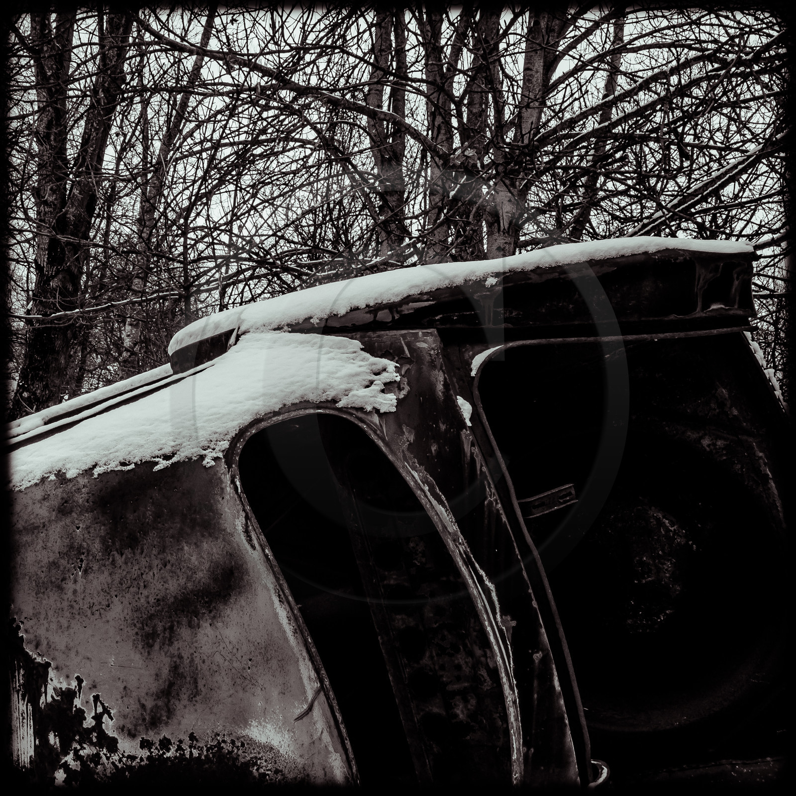 Un cimetière de voitures