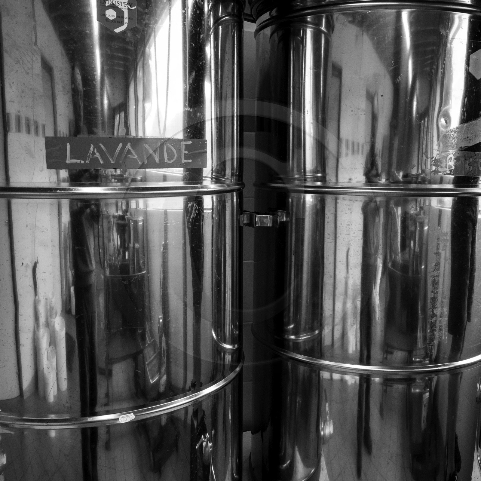 L'extraction du miel