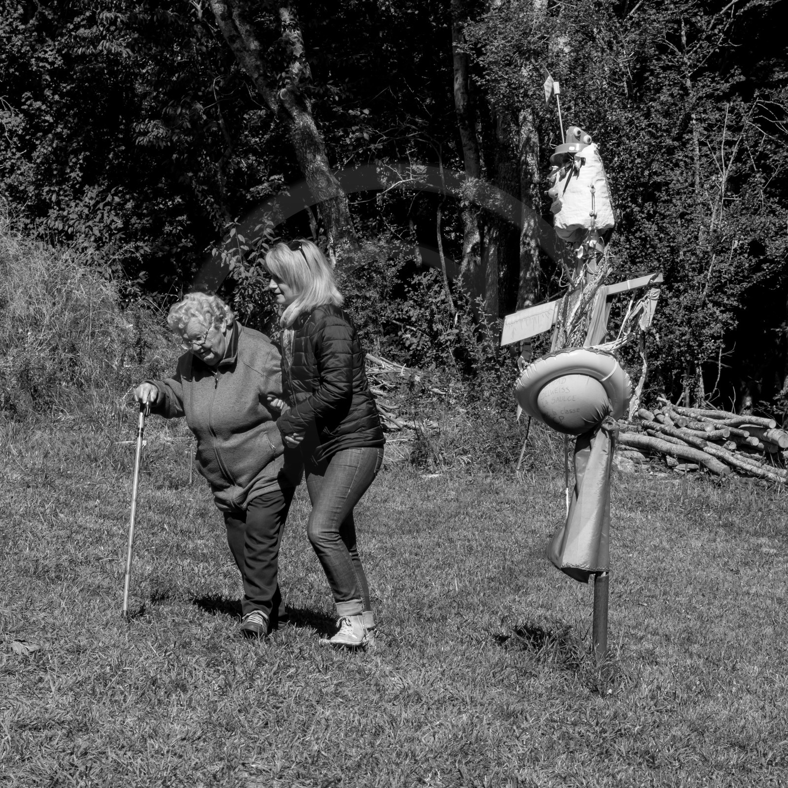 20 septembre 2017 - Jardinage