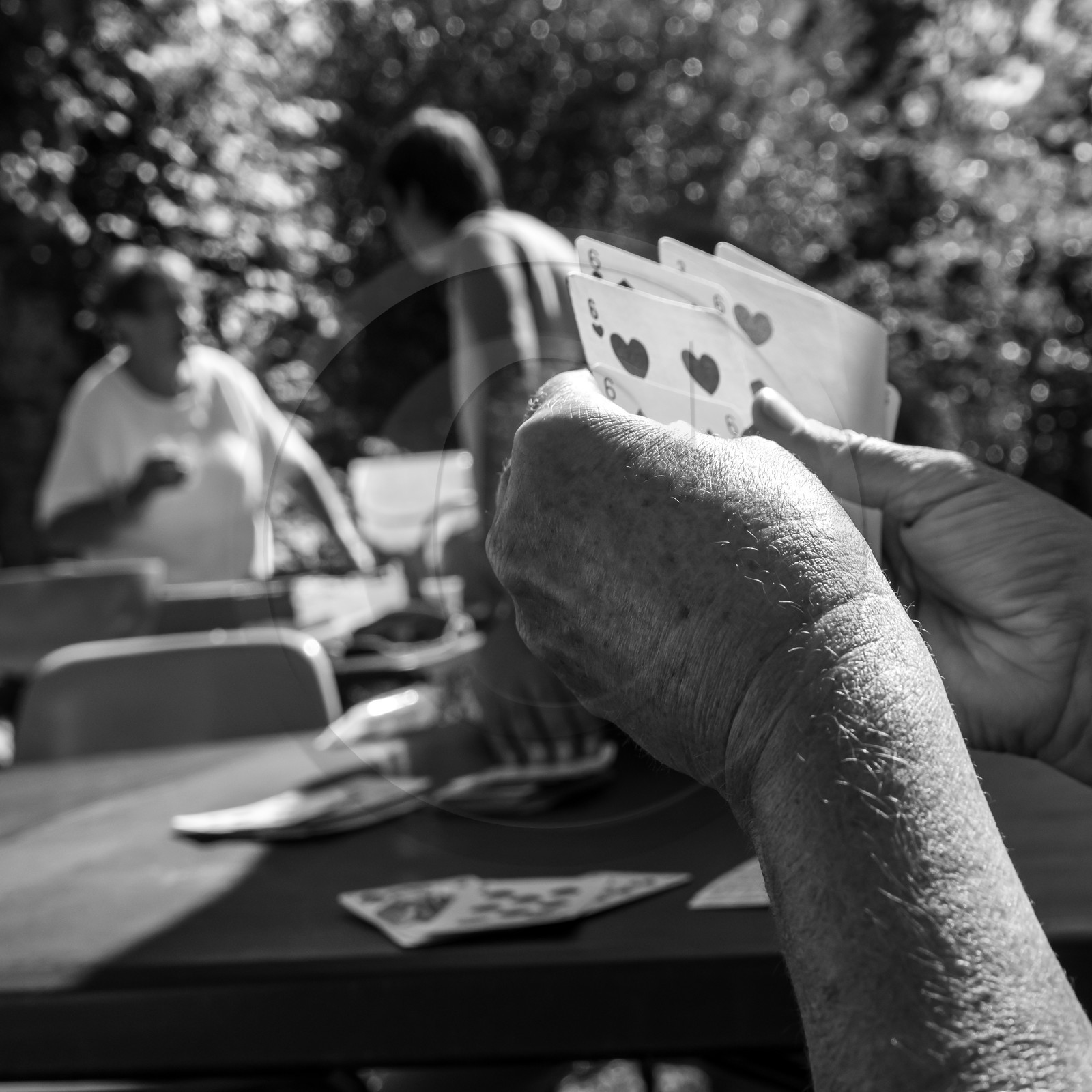 Activités au jardin