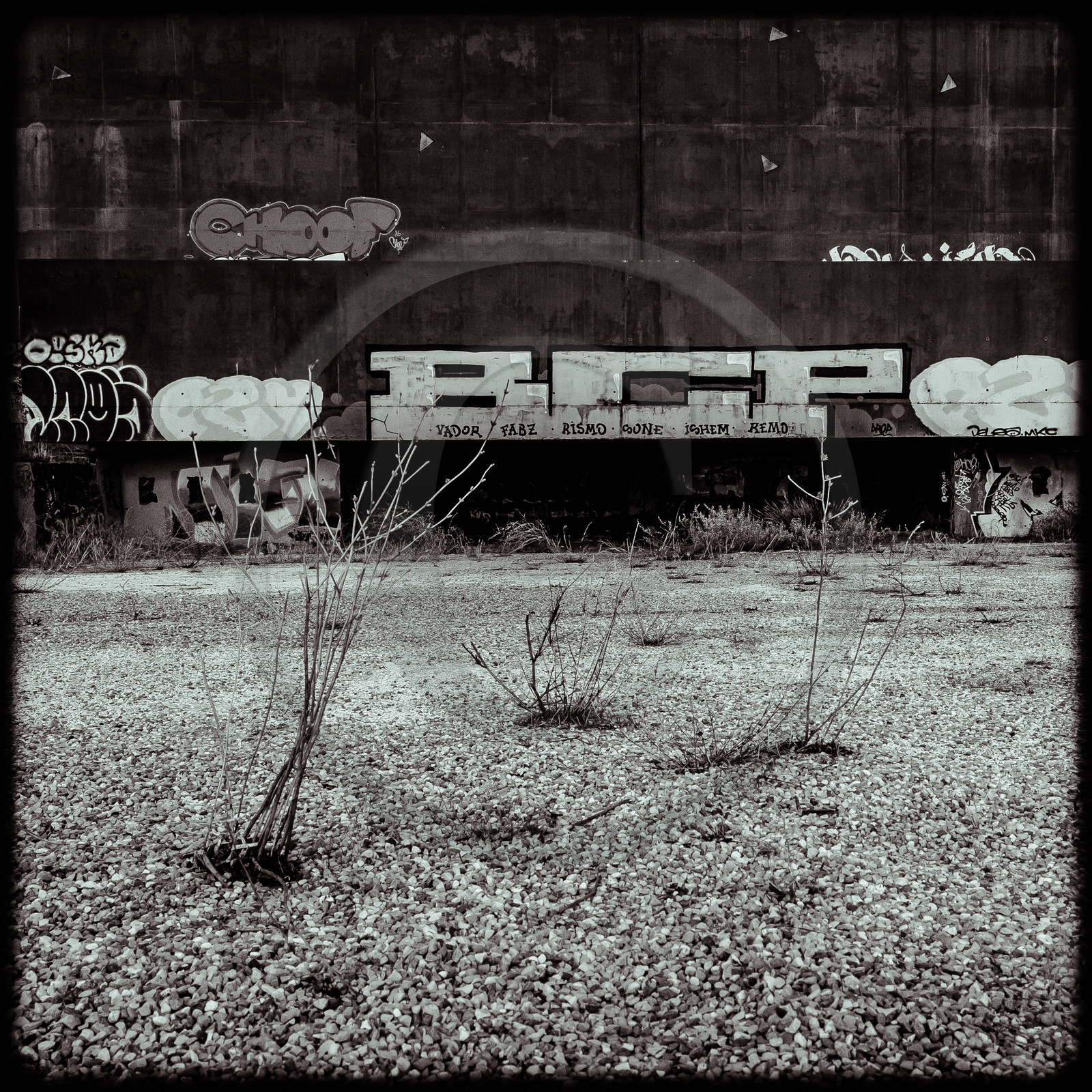 Le Stadium - Vitrolles (13)