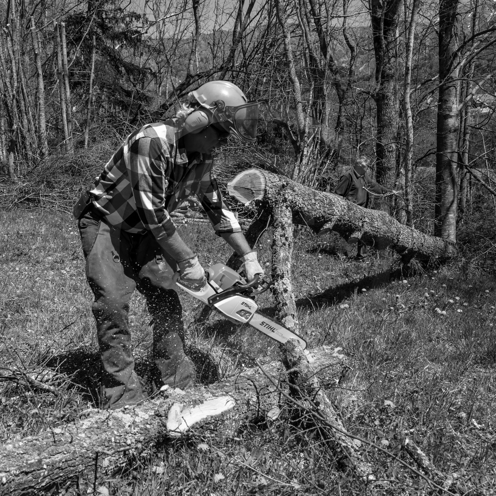 L'Ouort de Bénévent - 17 avril 2017