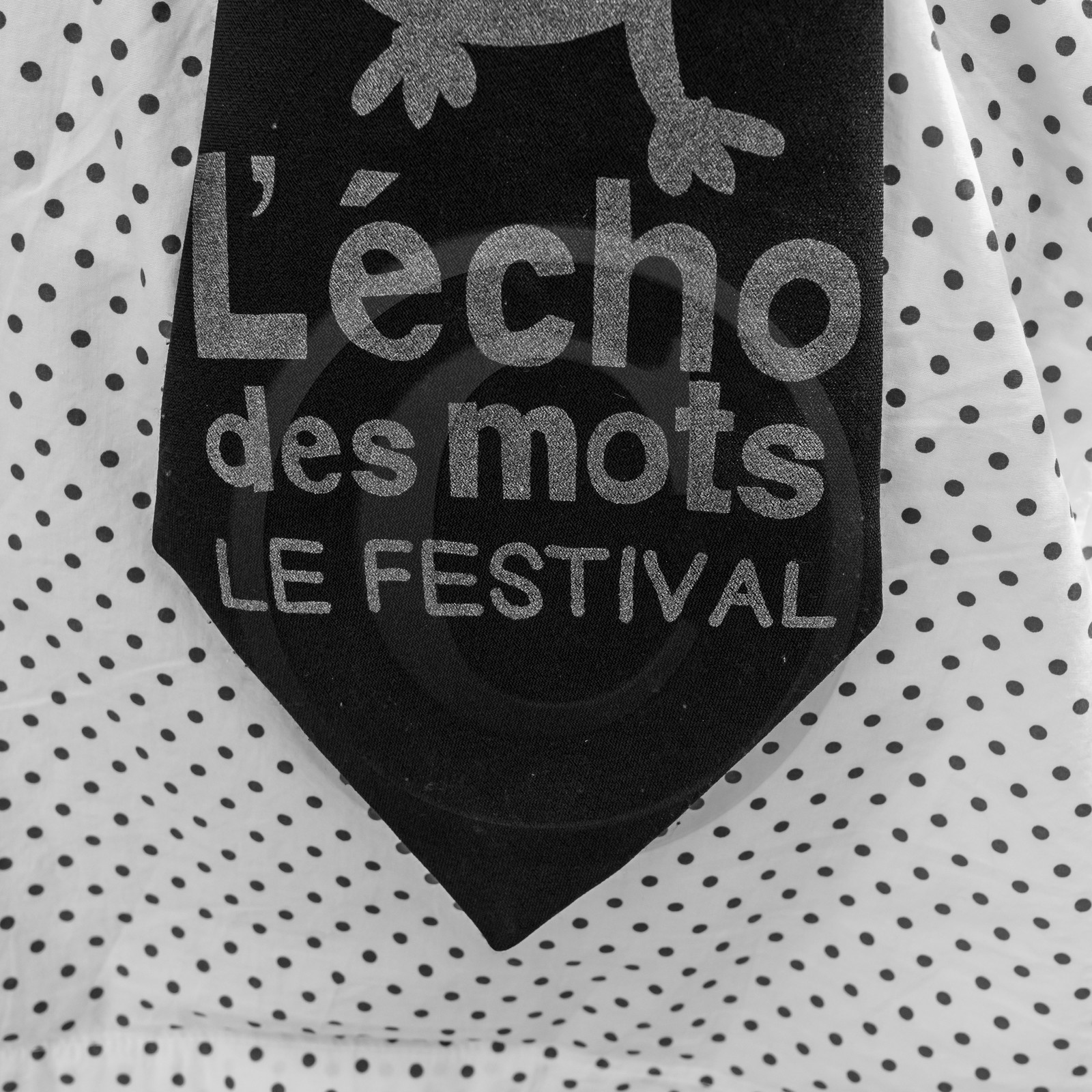 L'écho des mots
