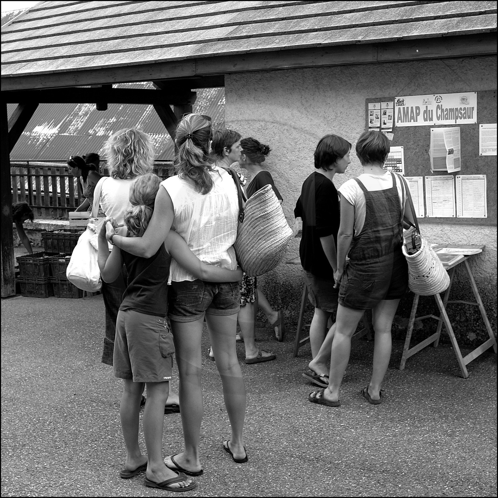 Distribution à l'AMAP du Champsaur