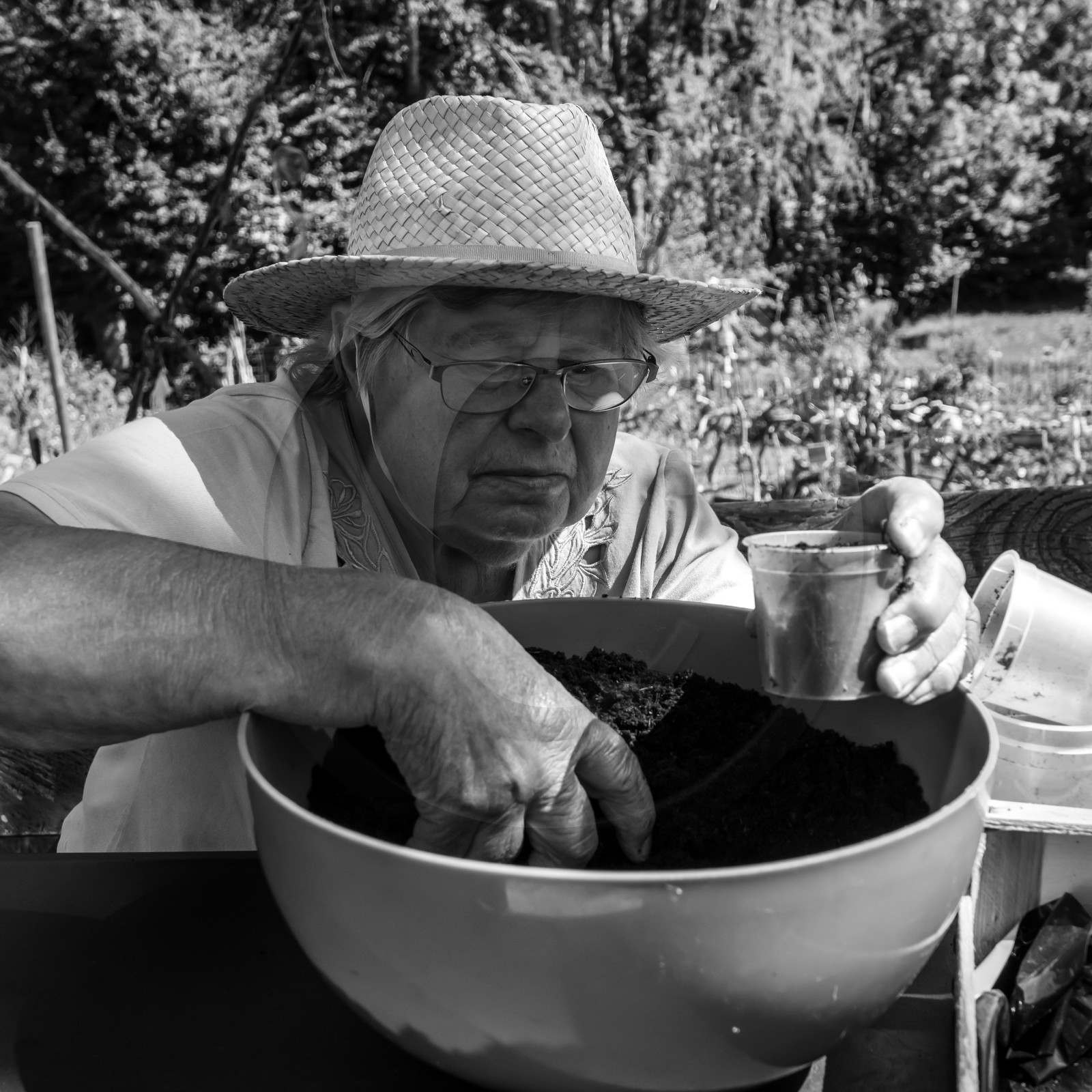 Activités au jardin
