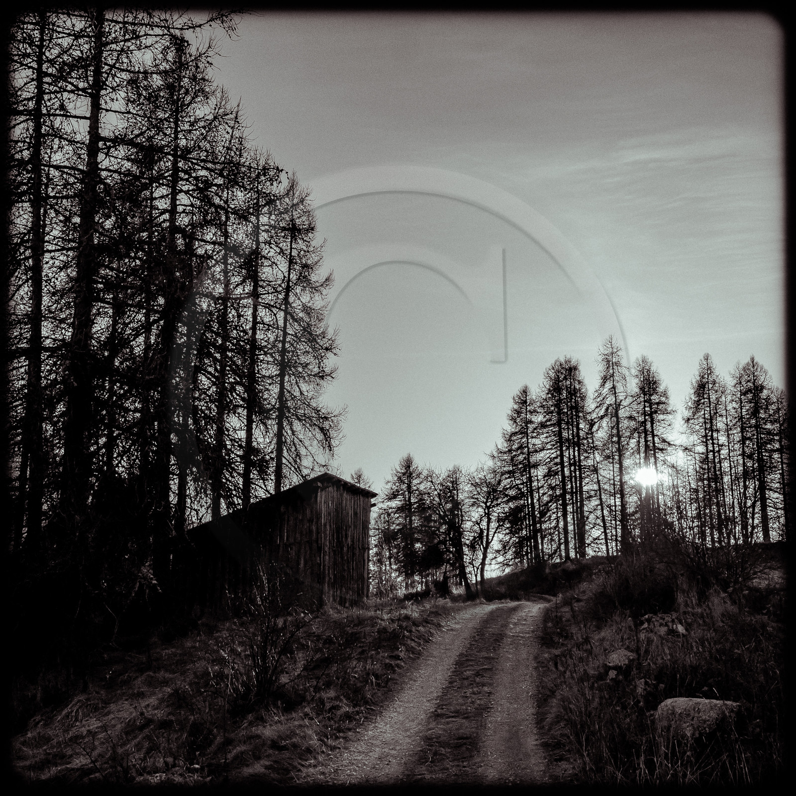 Plateau de la Coche - Champsaur