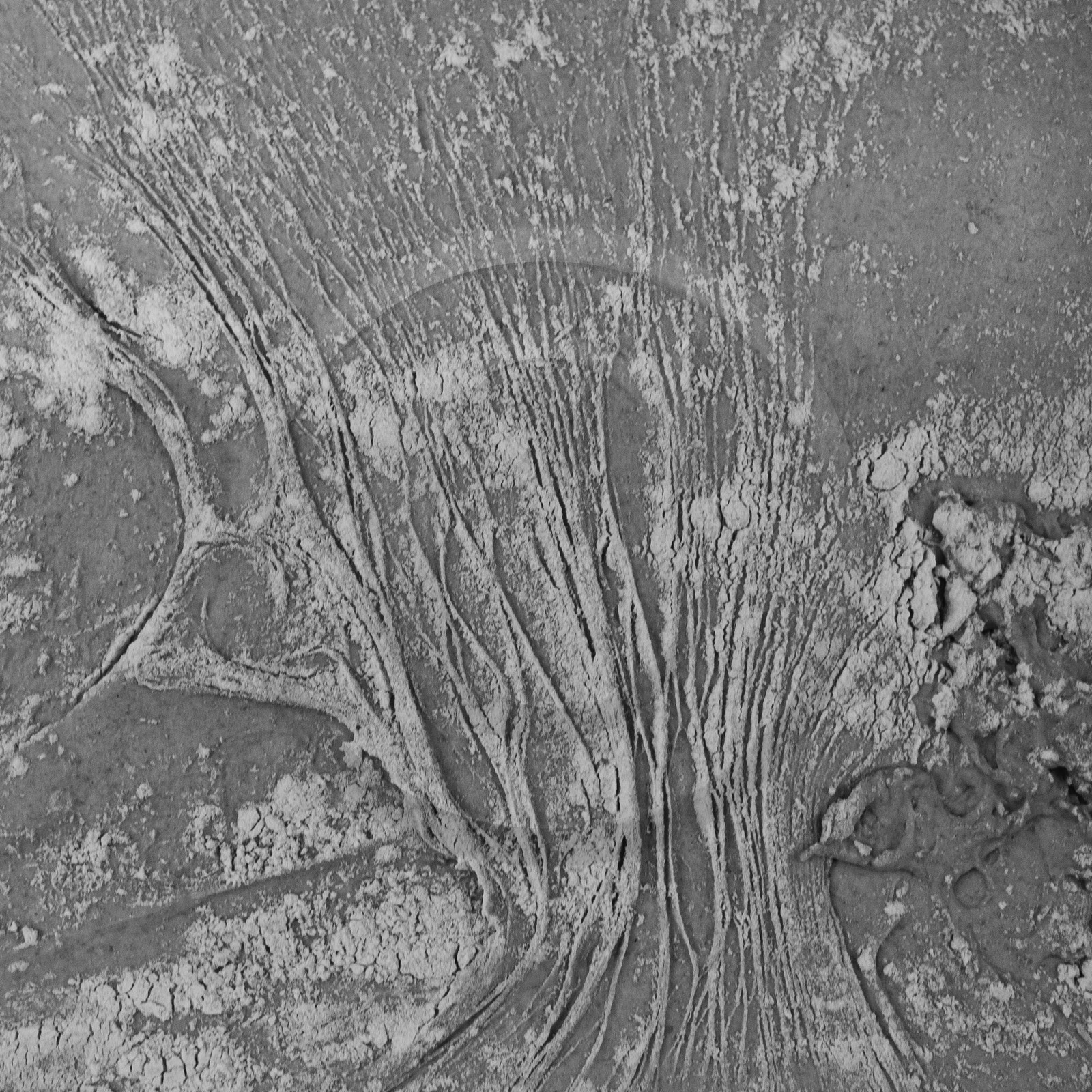 Stéphane Philippe, Le pain d'antan