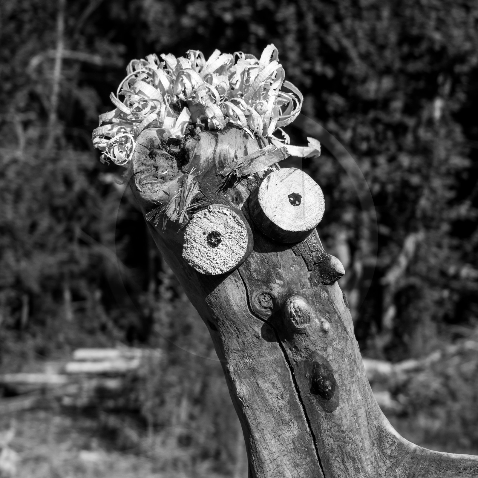 23 août 2017 - Animations