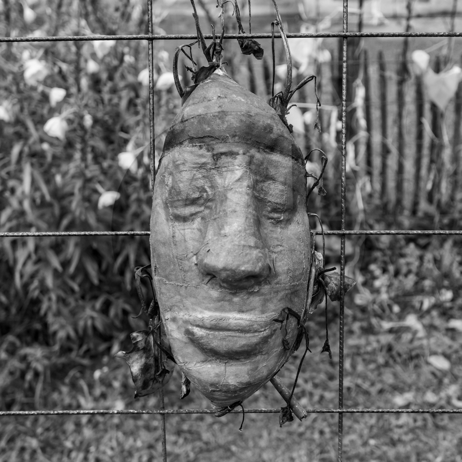 15 septembre 2021 : l'APF à l'Ouort