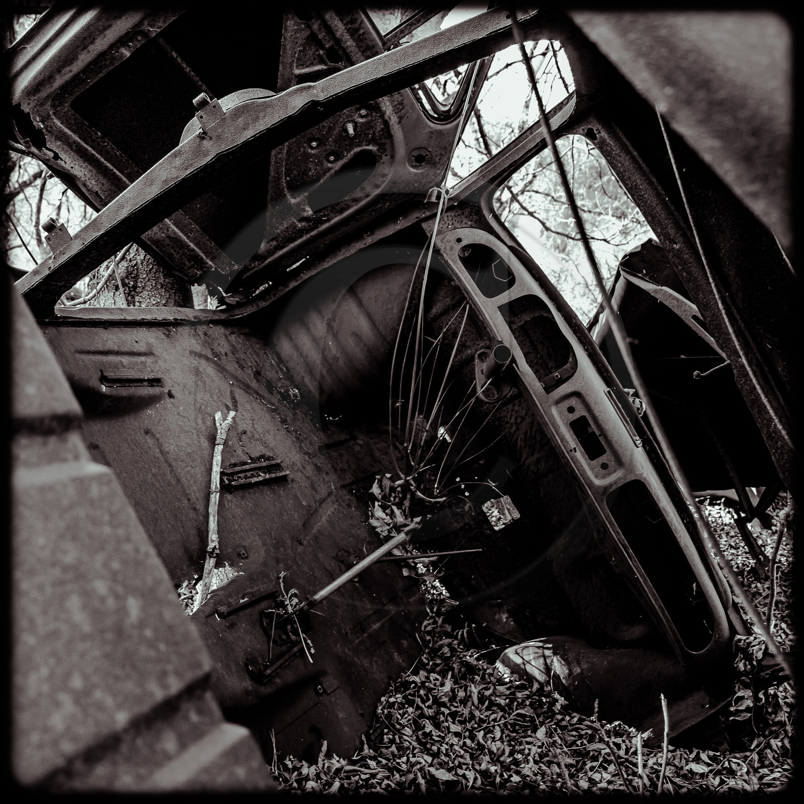 Un cimetière de voitures